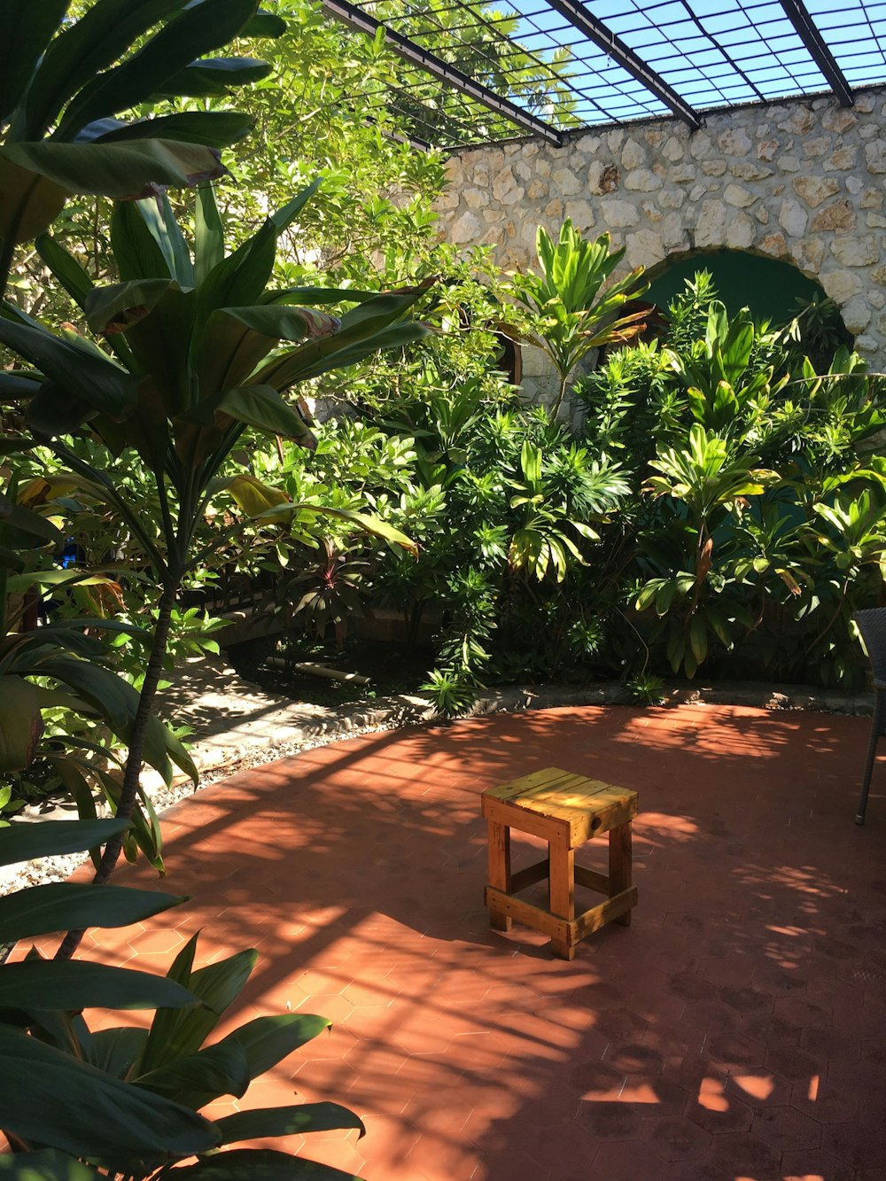 brown wooden table near green plants