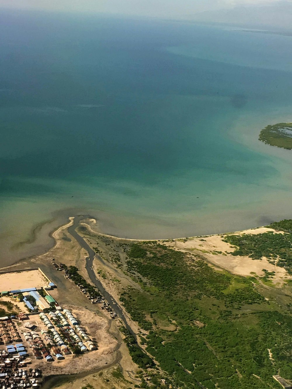 aerial view of green trees and body of water during daytime