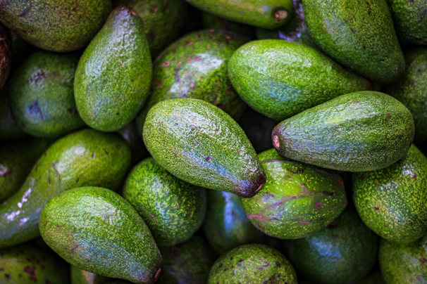 Close-up of ripe Haas avocados with deep green skin arranged on rustic wooden crates.
