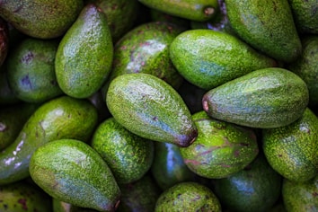 A pile of fresh, green avocados with varying textures and shades. The avocados are closely packed together, displaying their smooth to slightly rugged skins.