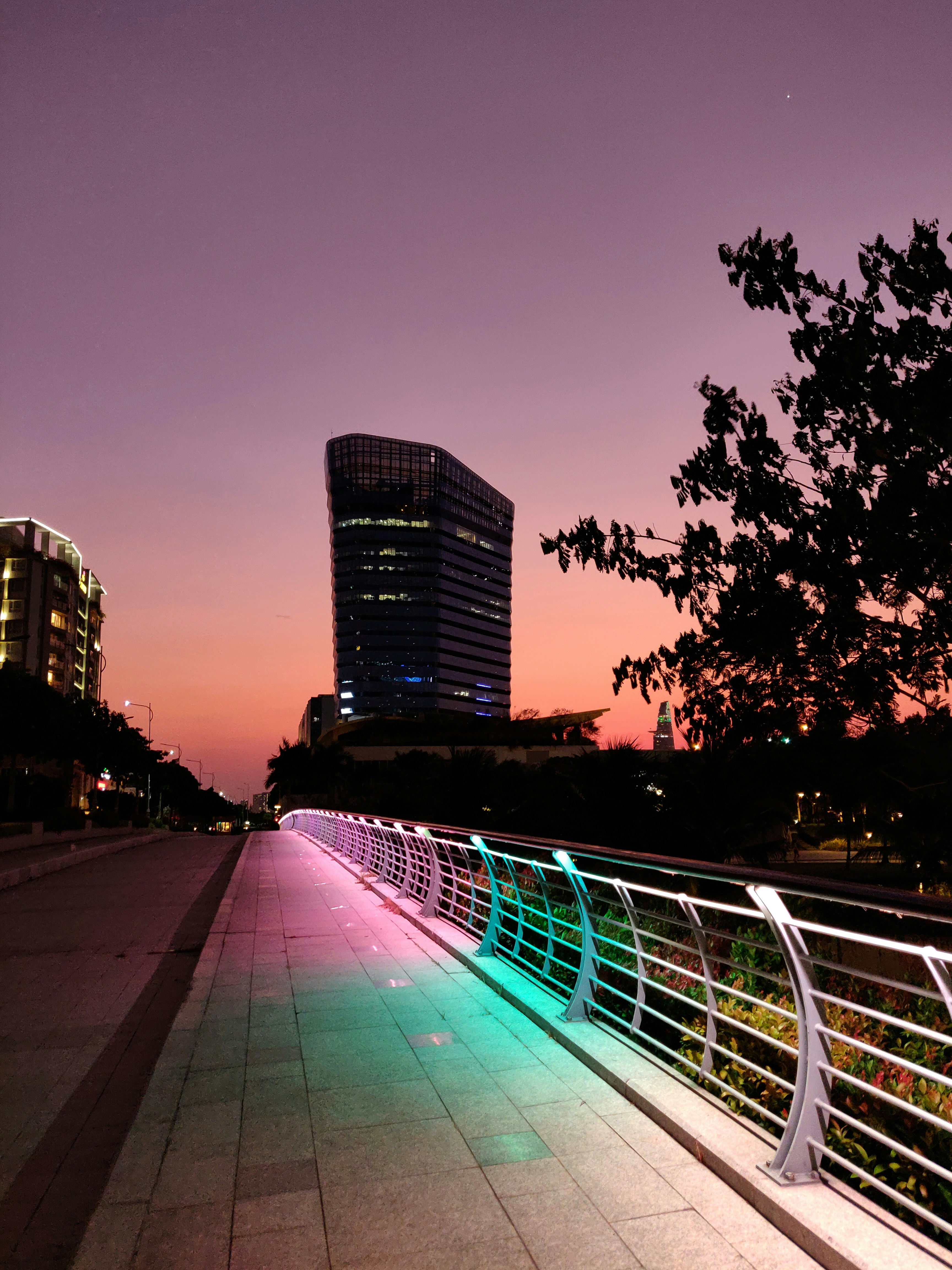 Edificios de la ciudad cerca de los árboles durante la noche