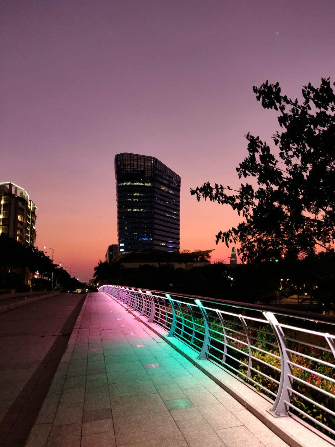 city buildings near trees during night time