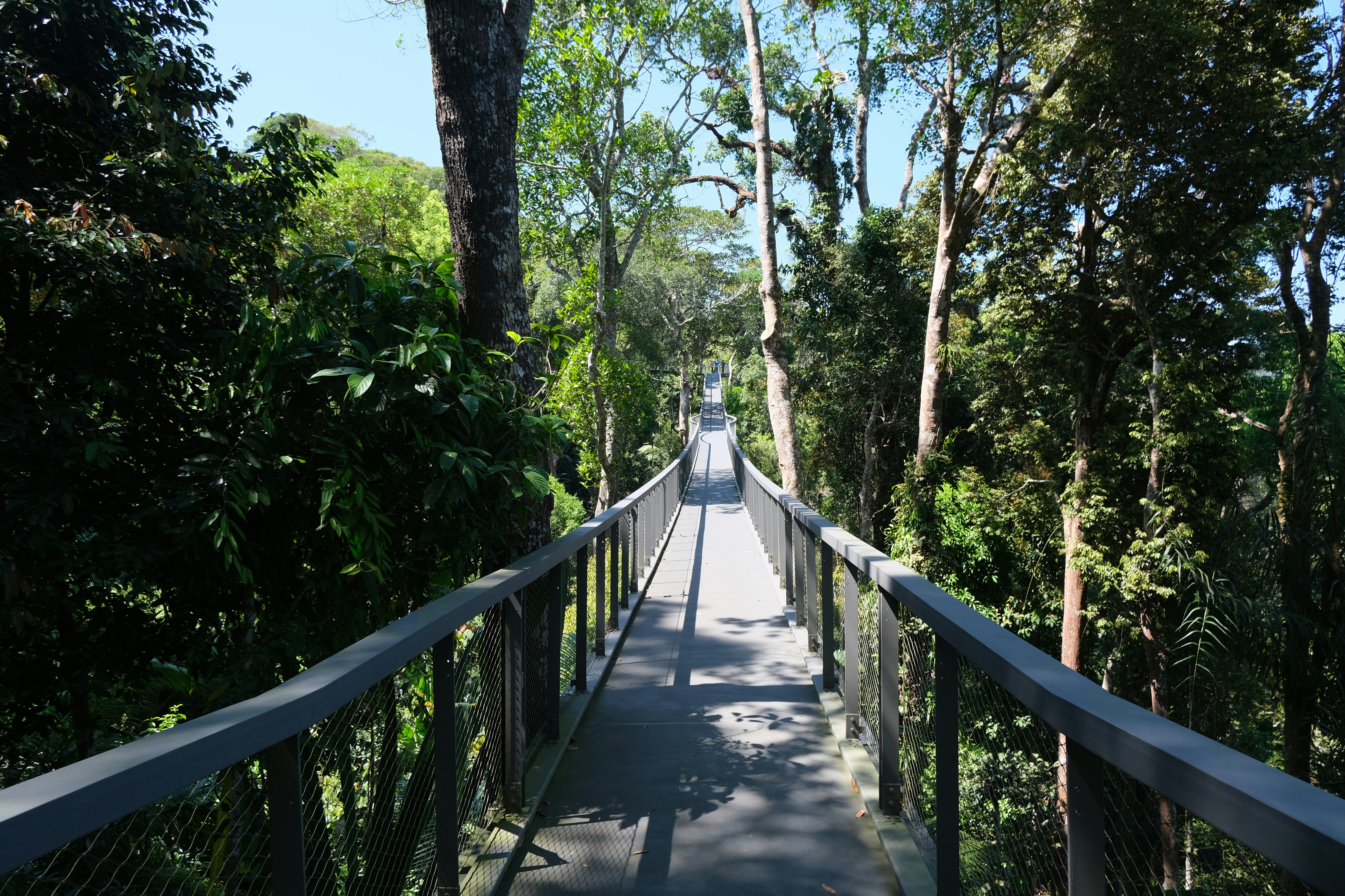 Photo by andysosohutt