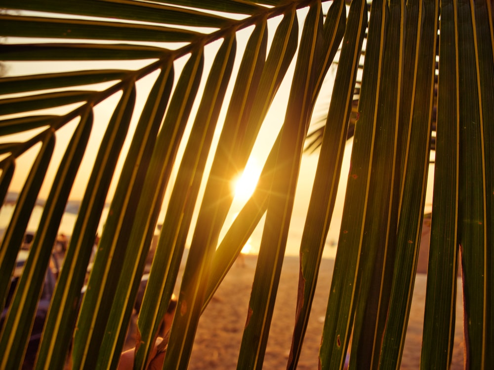 Il sole che tramonta sulla spiaggia