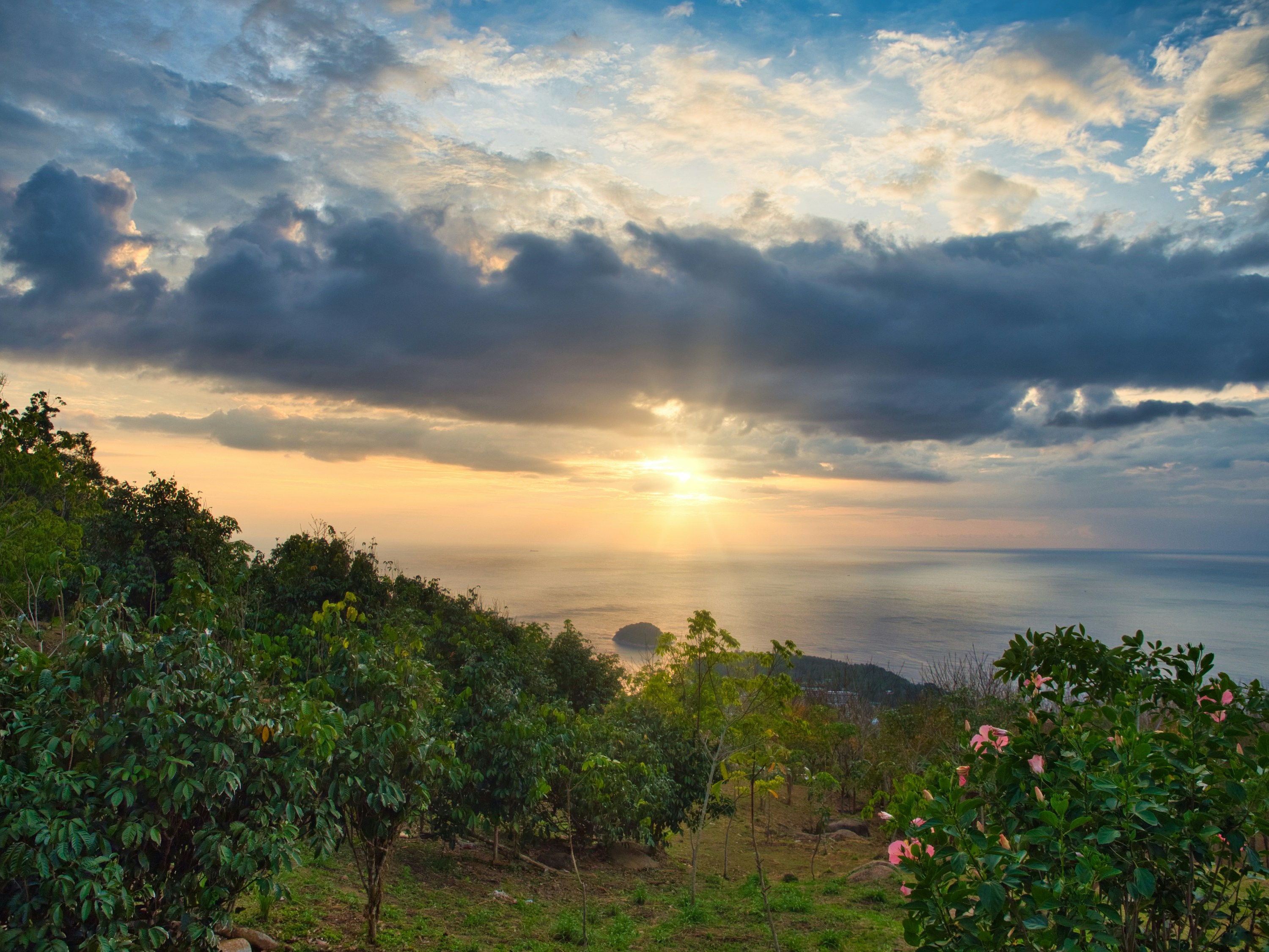 Photo by arkadylukashov