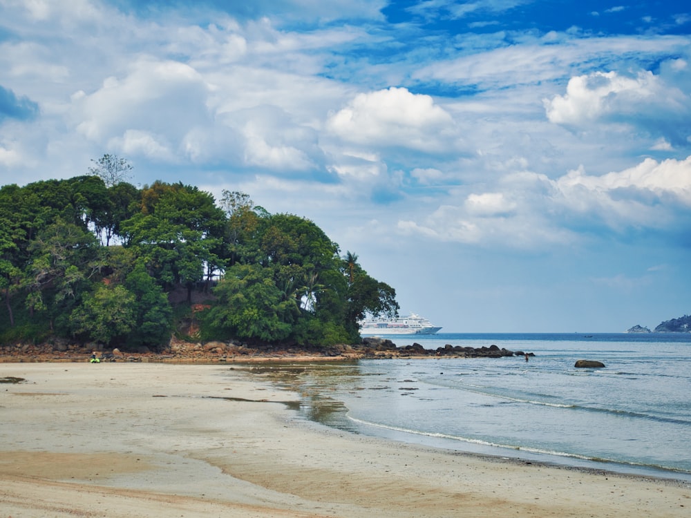 green trees on beach shore under white clouds and blue sky during daytime