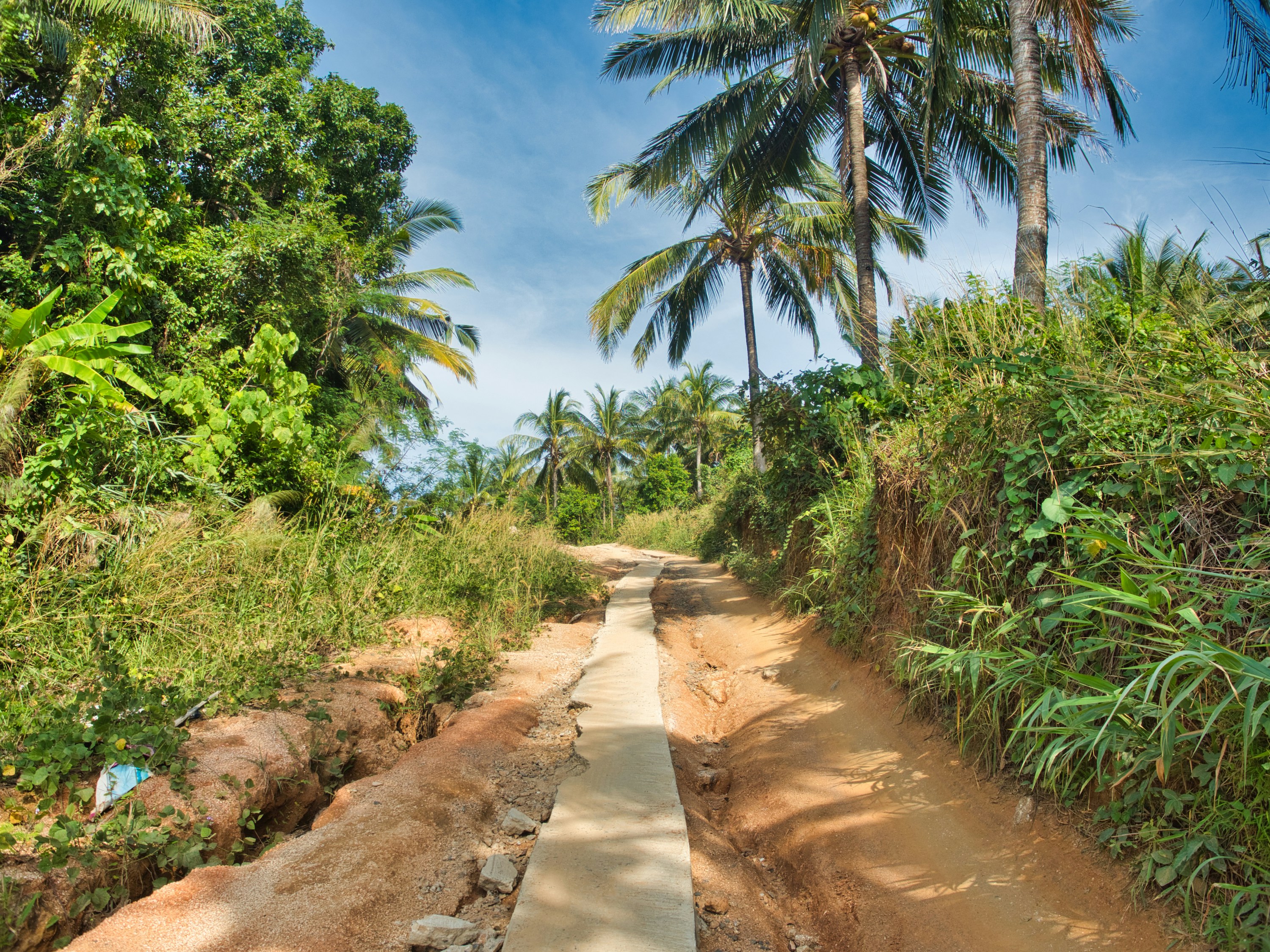 Photo by arkadylukashov