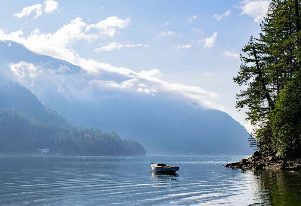 boat on water near green trees during daytime