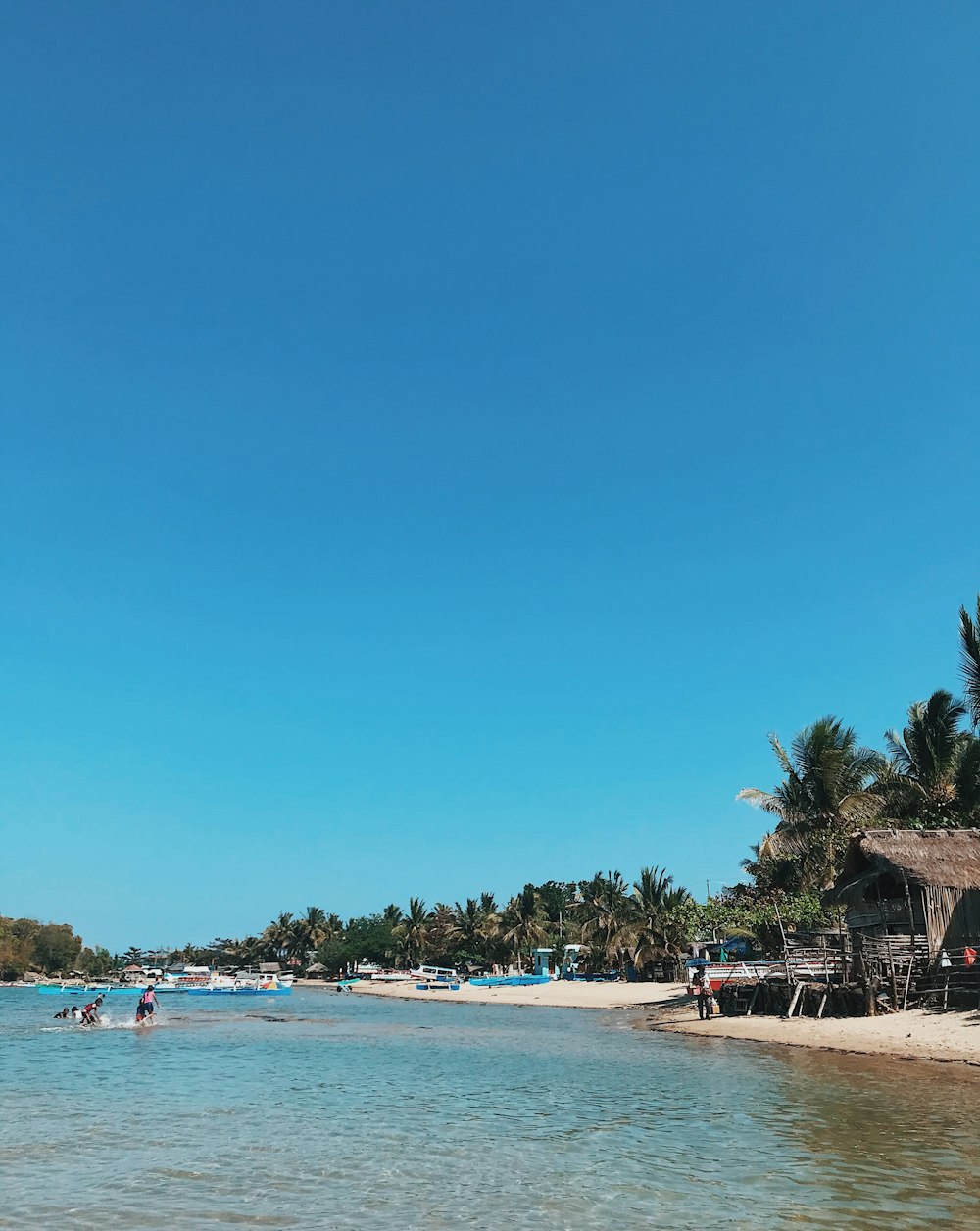 people on beach during daytime