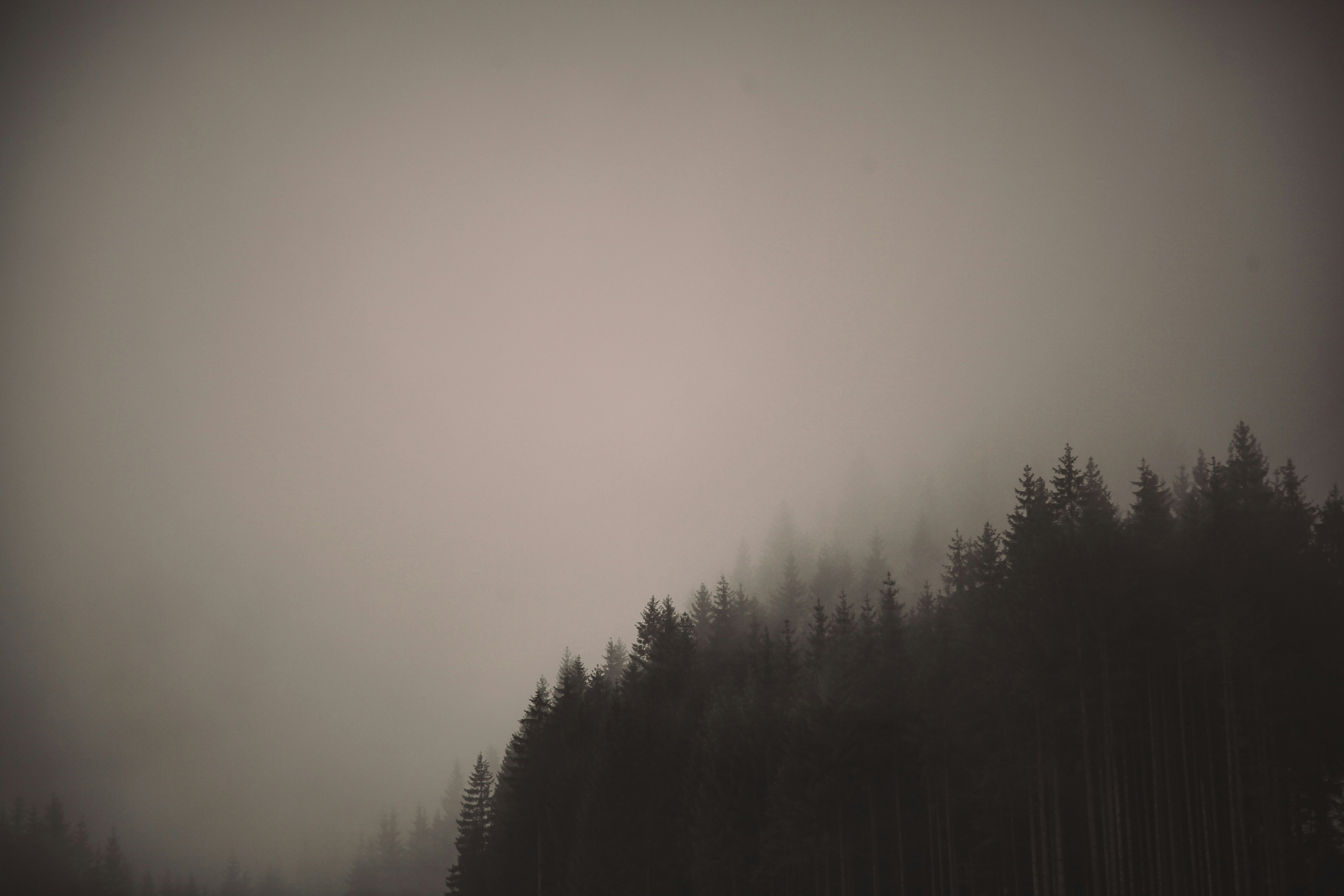 Photo by quadratmedia