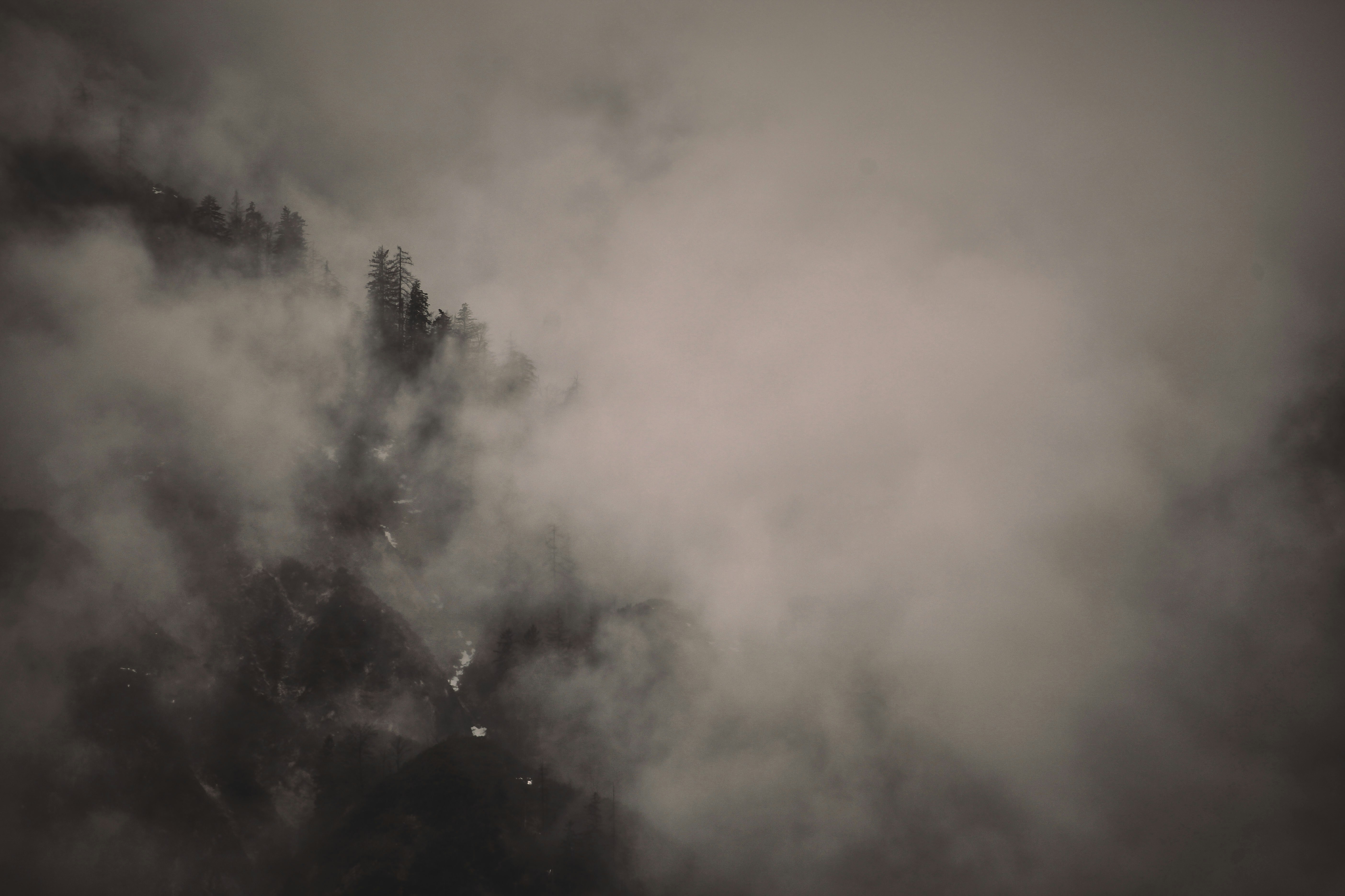 Photo by quadratmedia