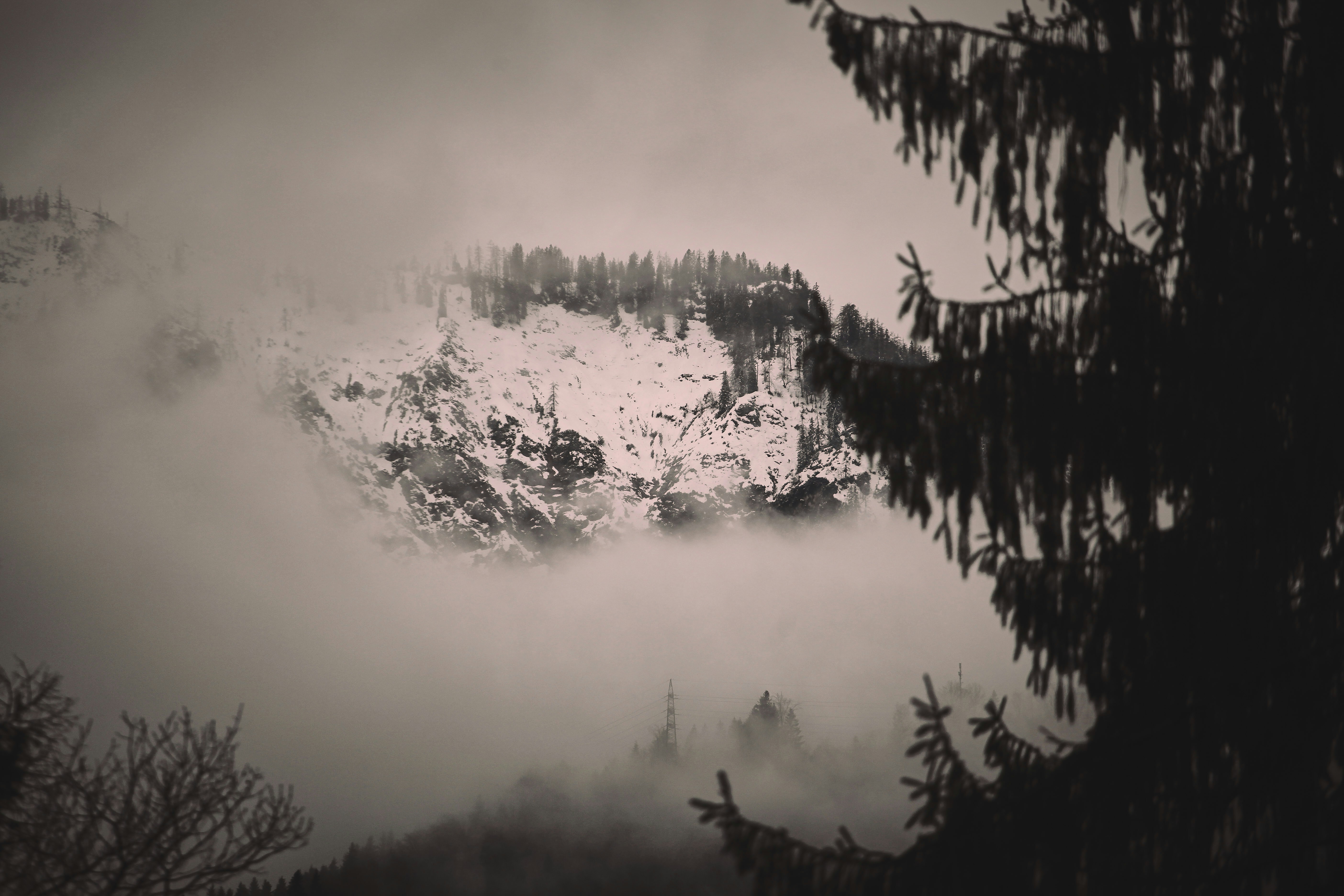 Photo by quadratmedia