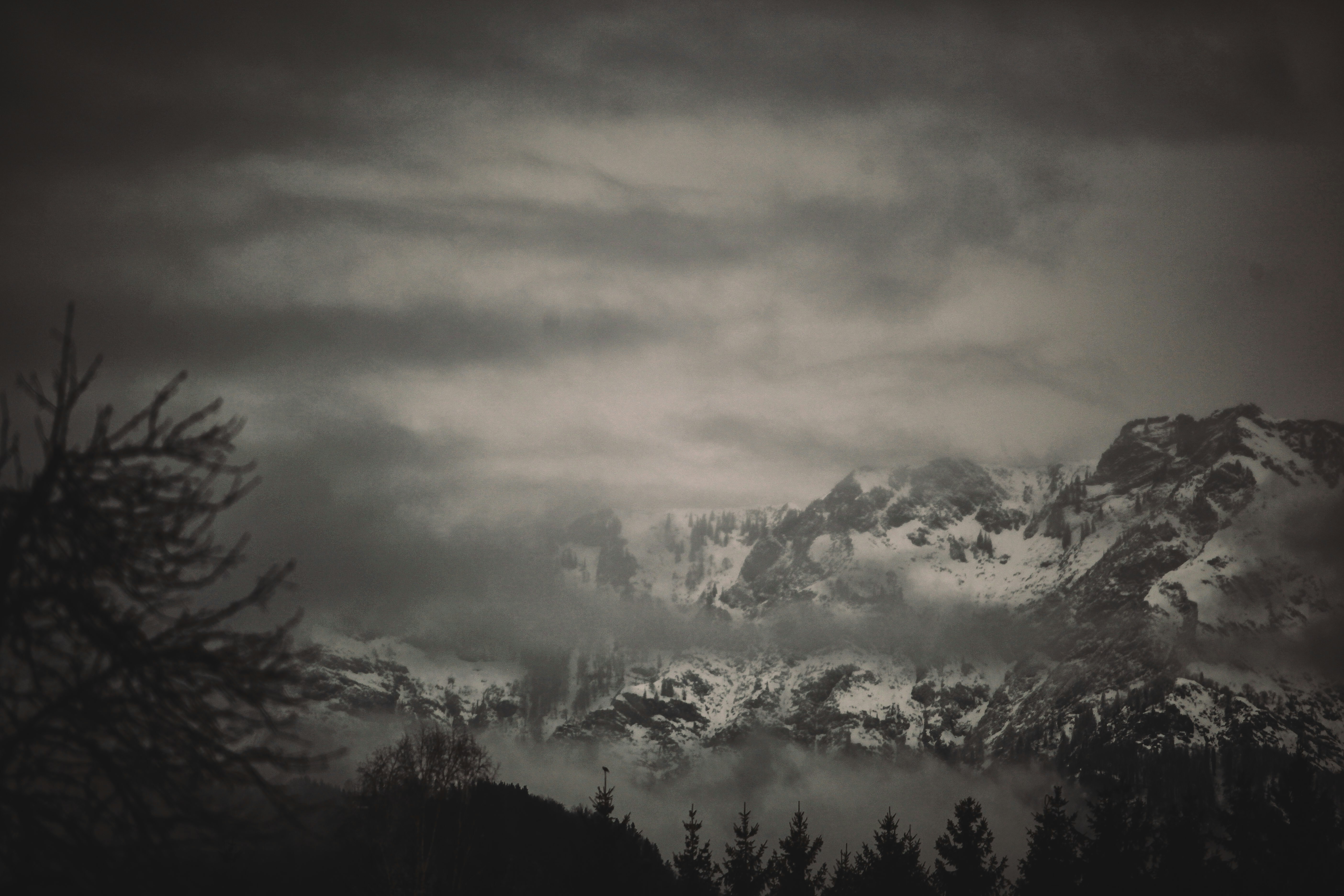 Photo by quadratmedia