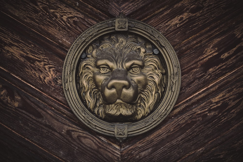 gold lion head door knob