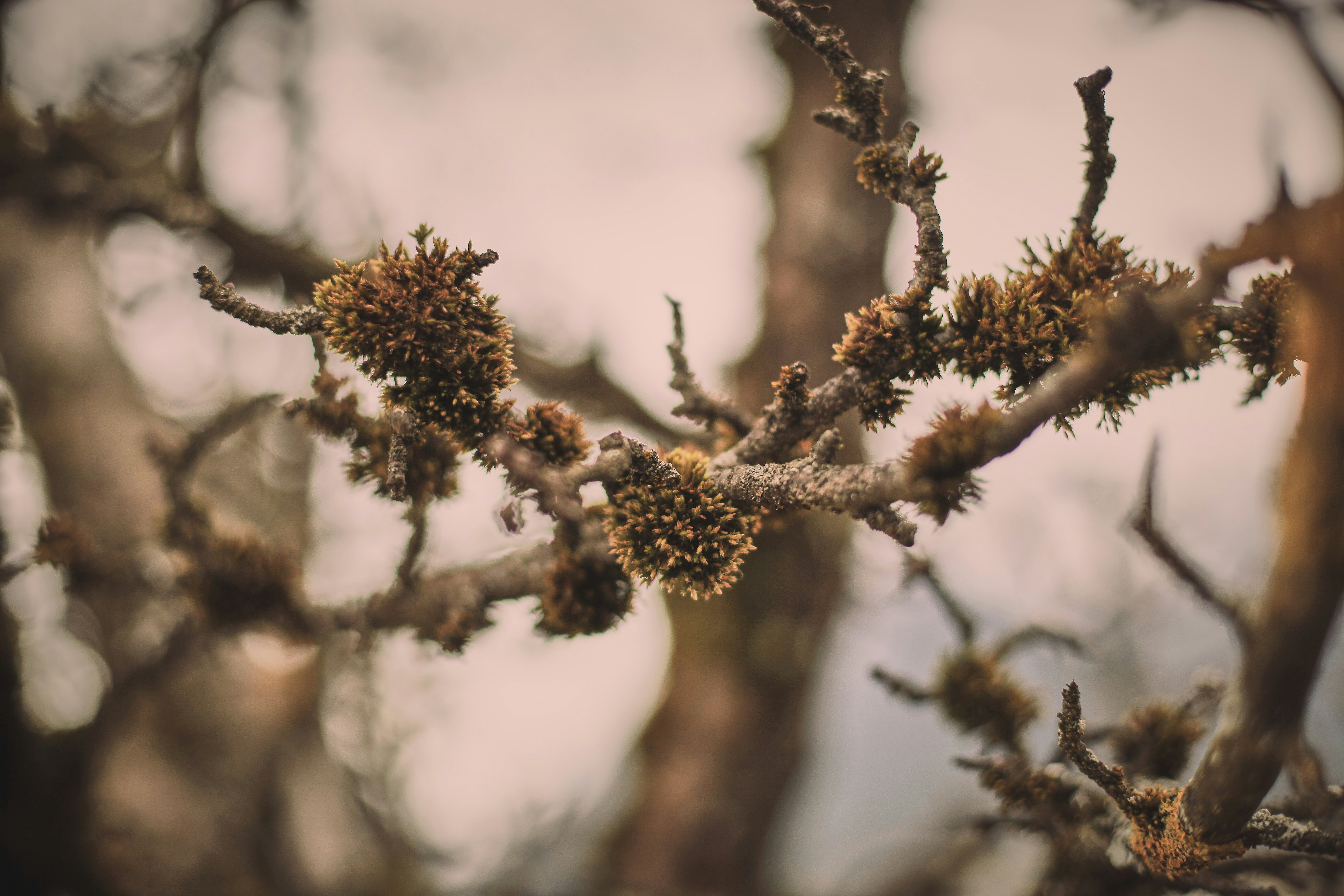 Photo by quadratmedia