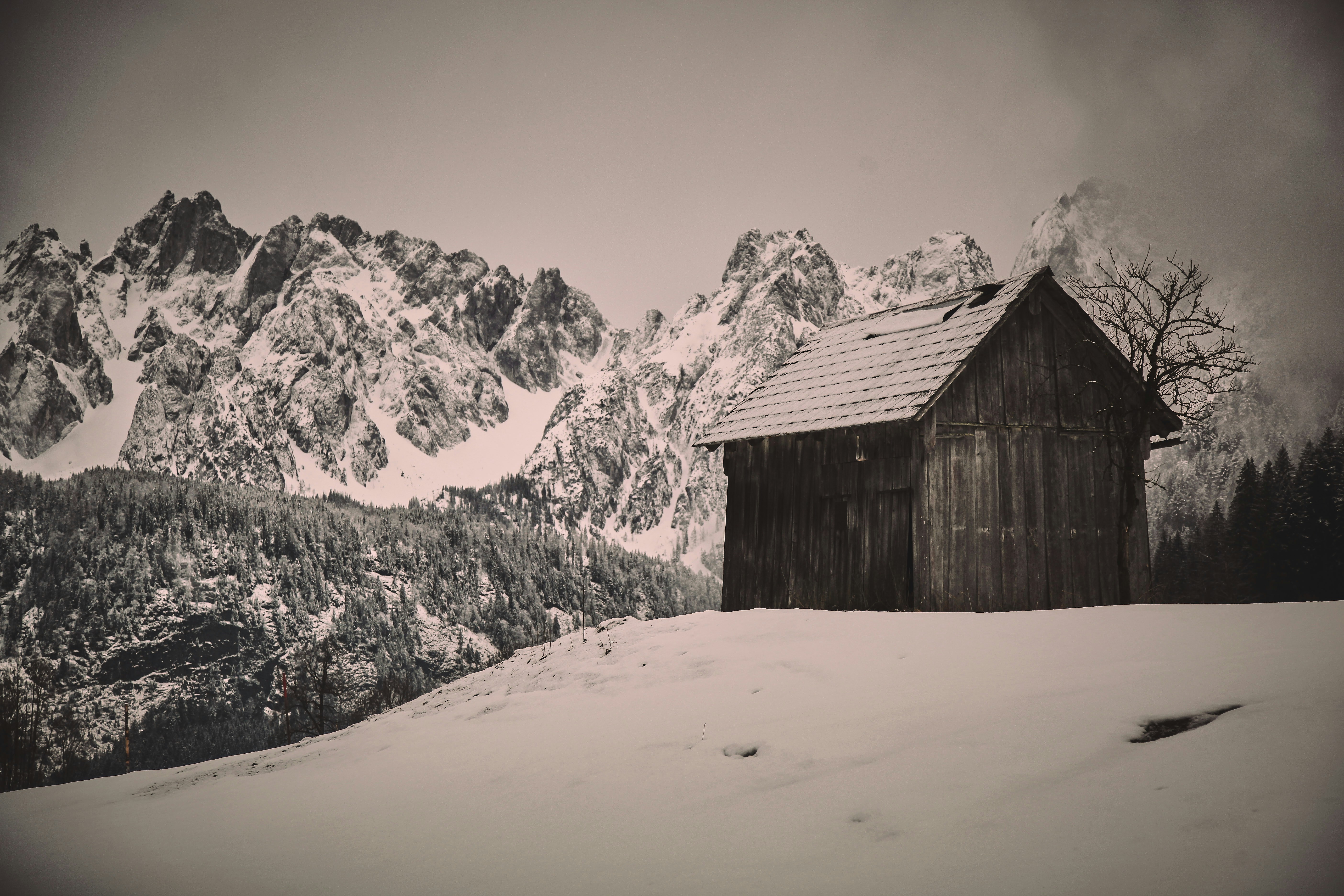 Photo by quadratmedia