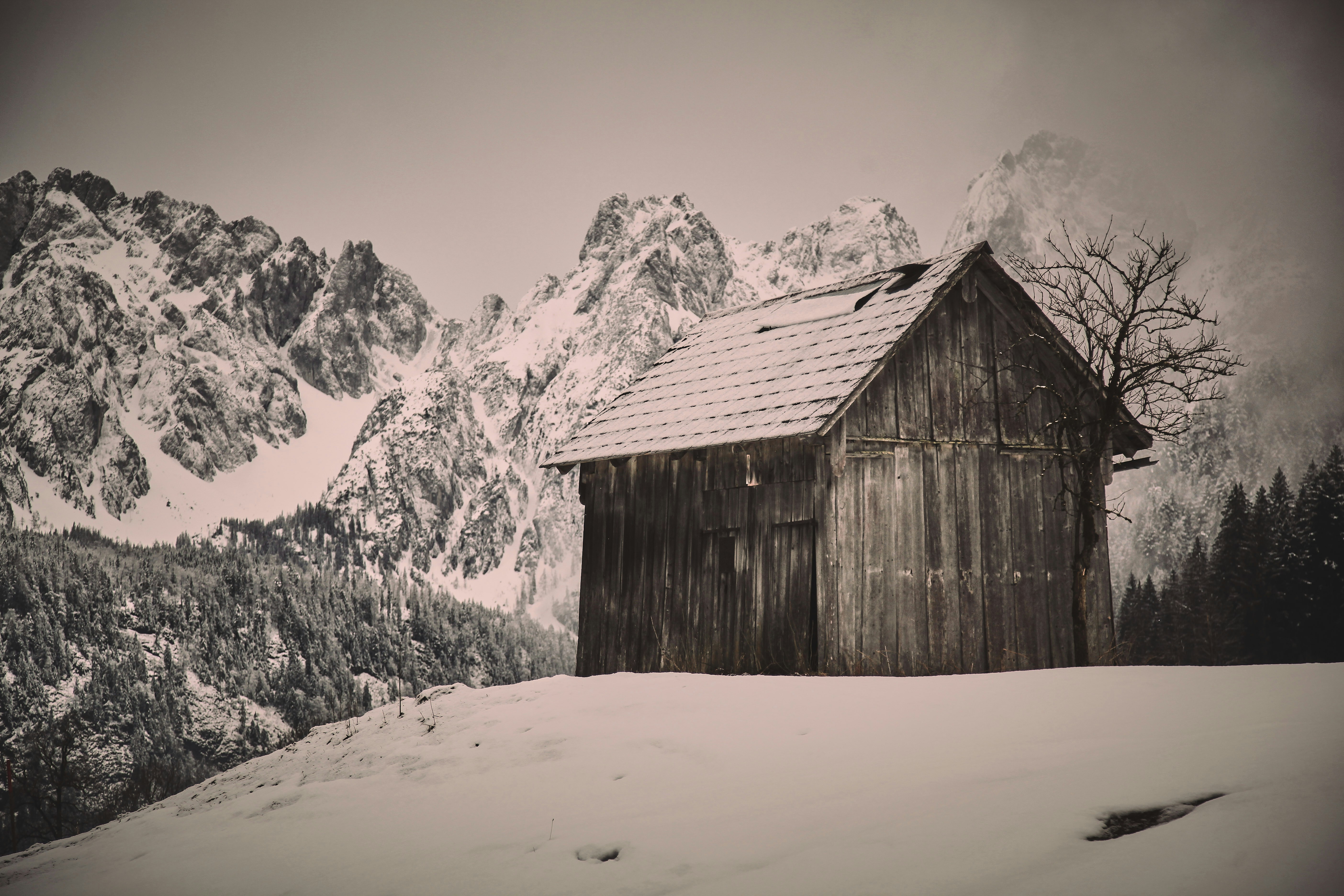 Photo by quadratmedia