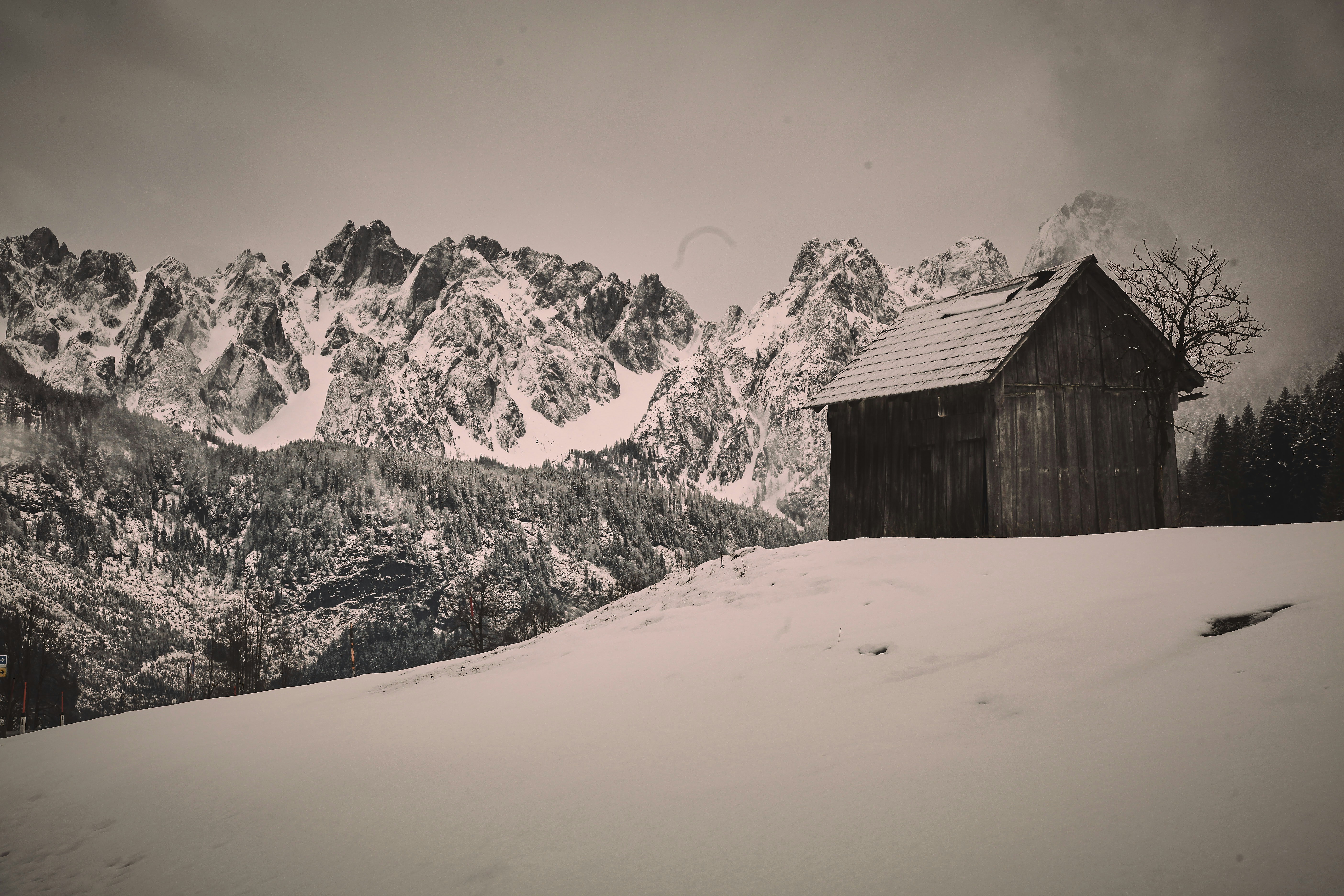 Photo by quadratmedia