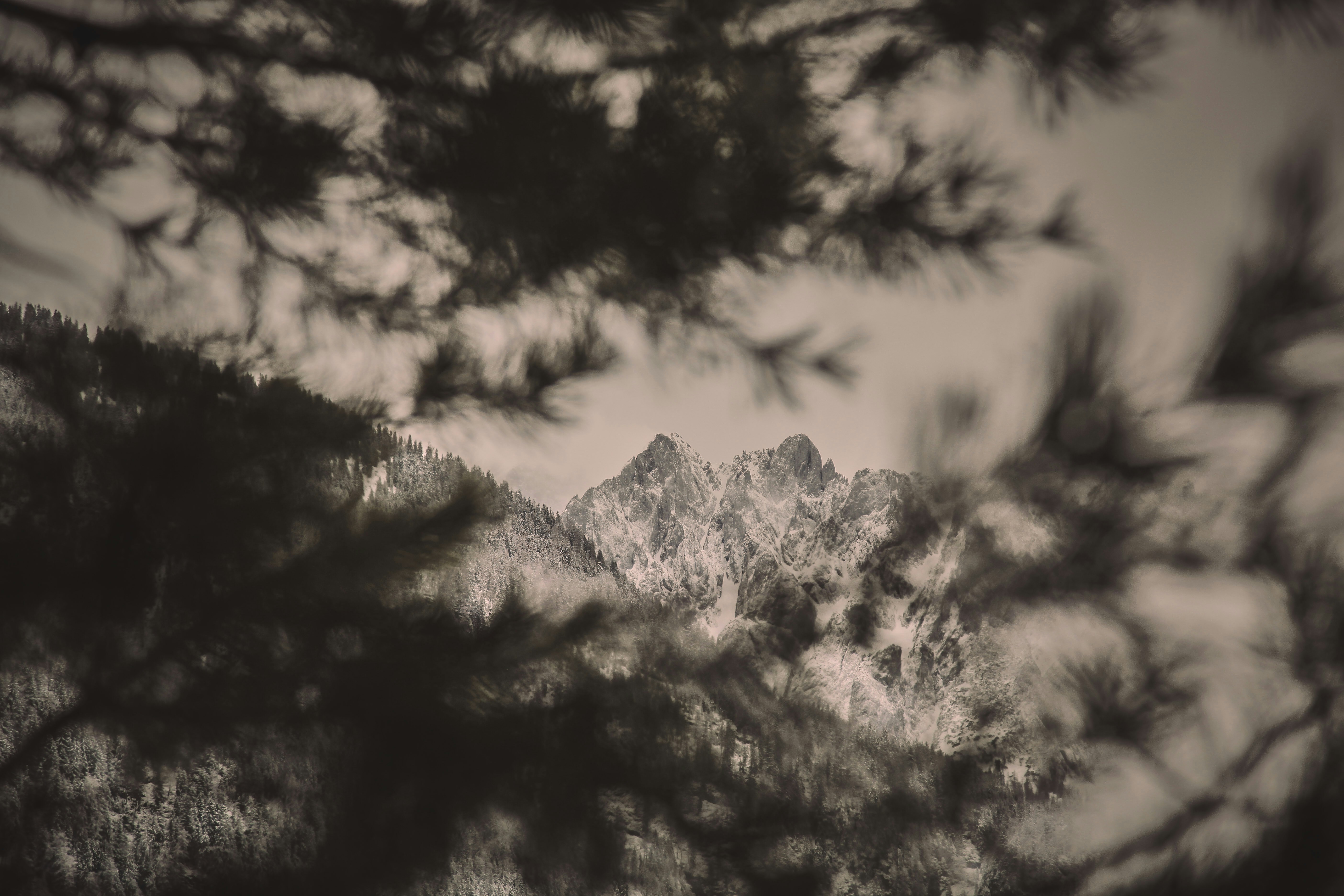 Photo by quadratmedia