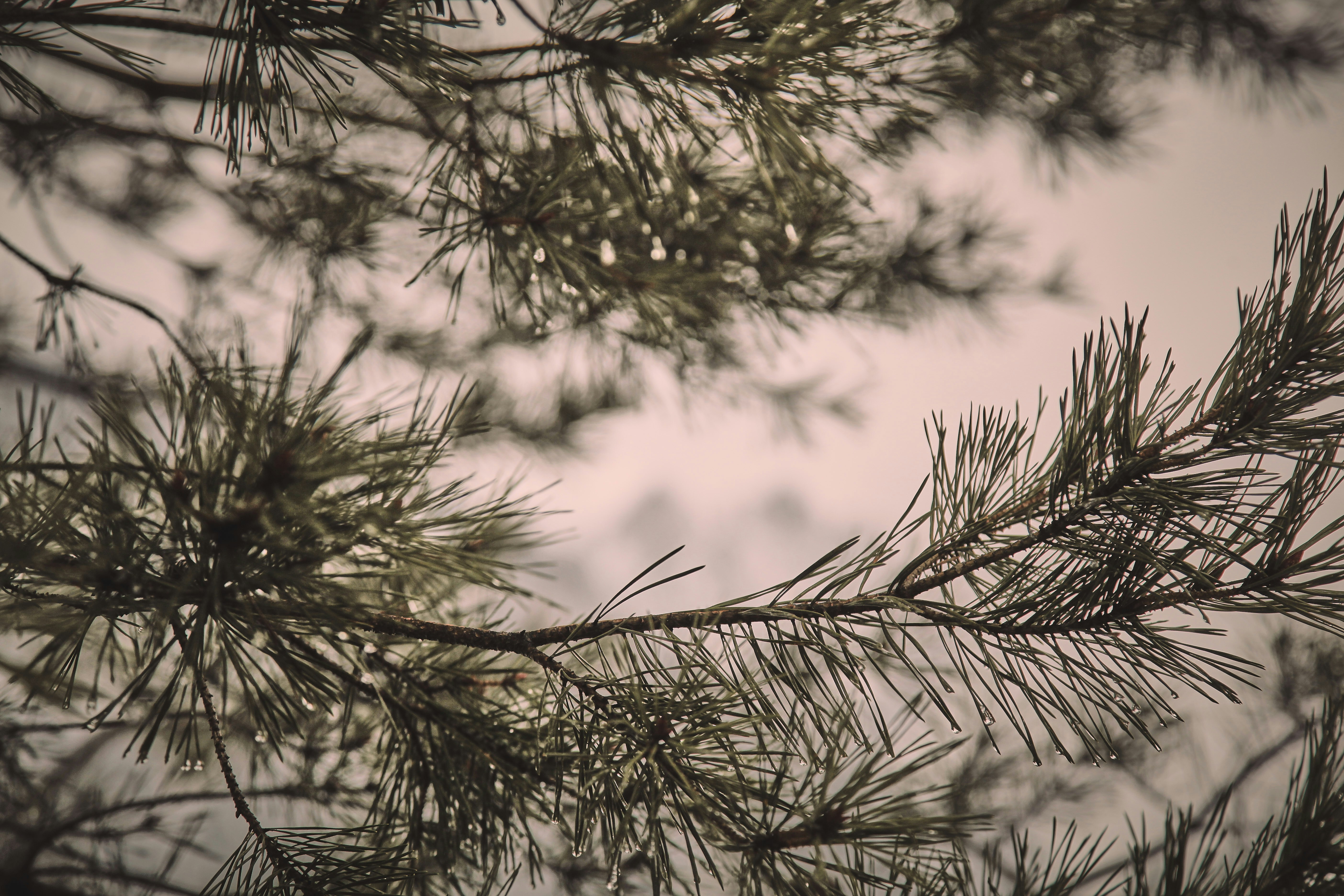 Photo by quadratmedia