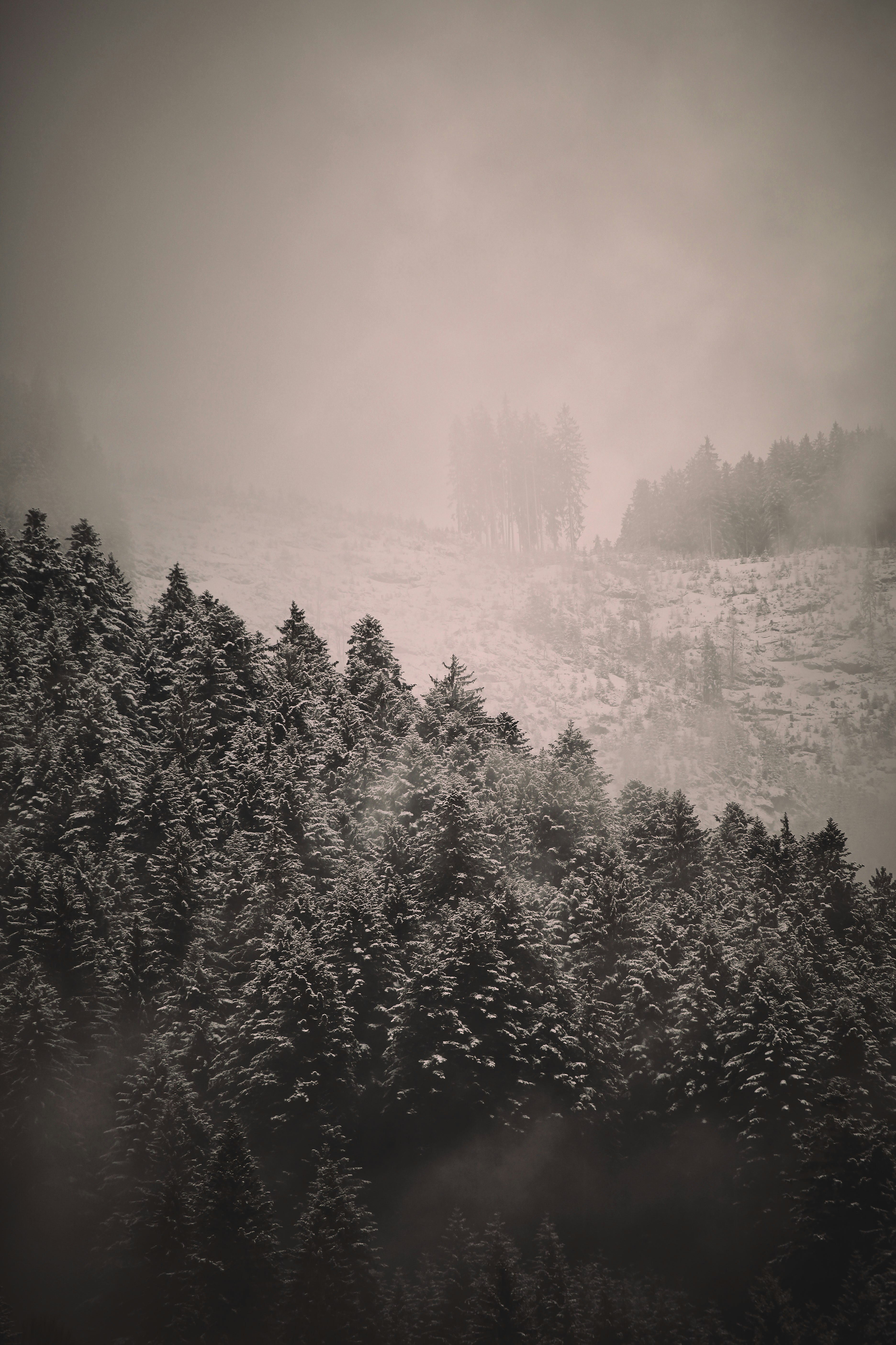 Photo by quadratmedia