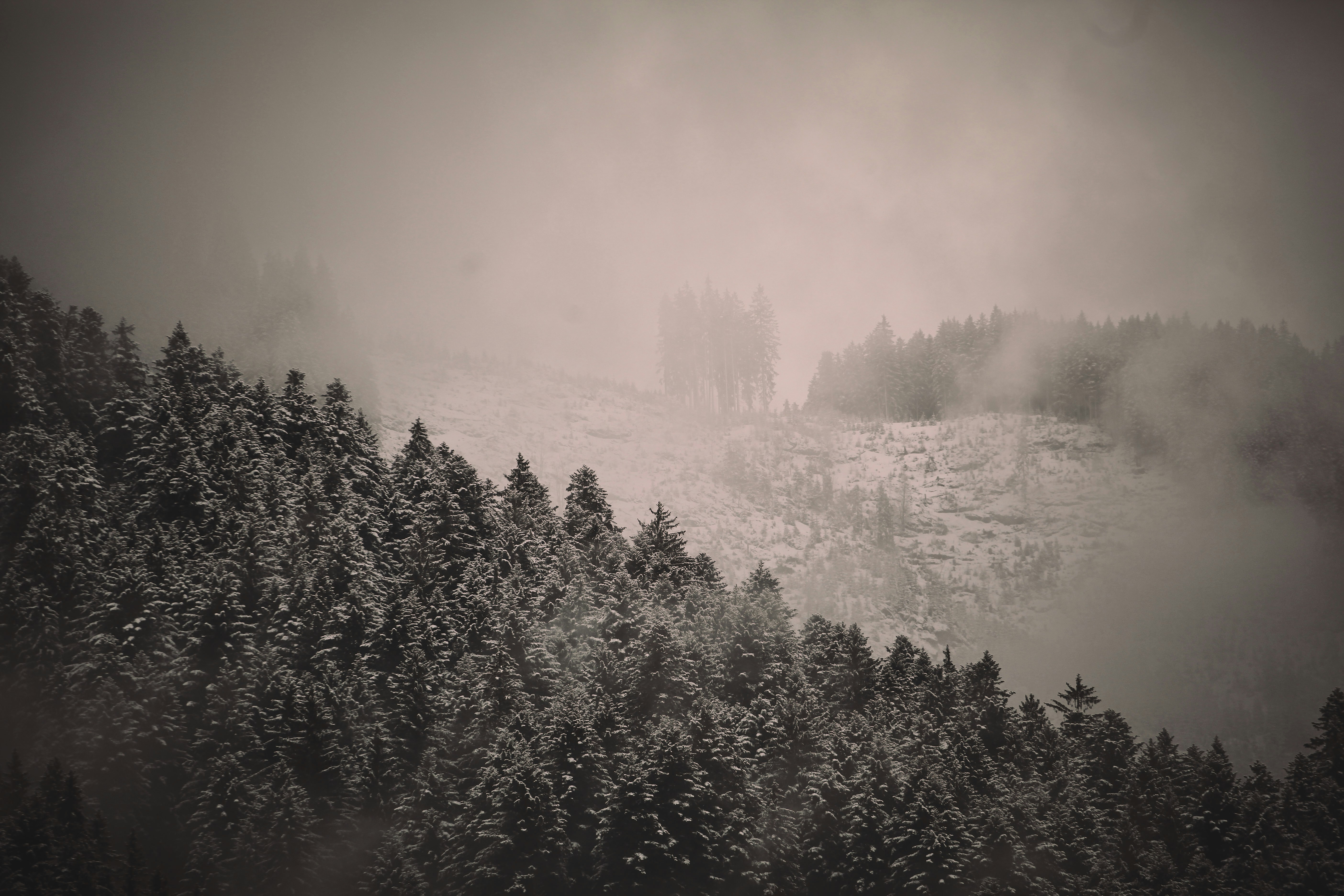 Photo by quadratmedia