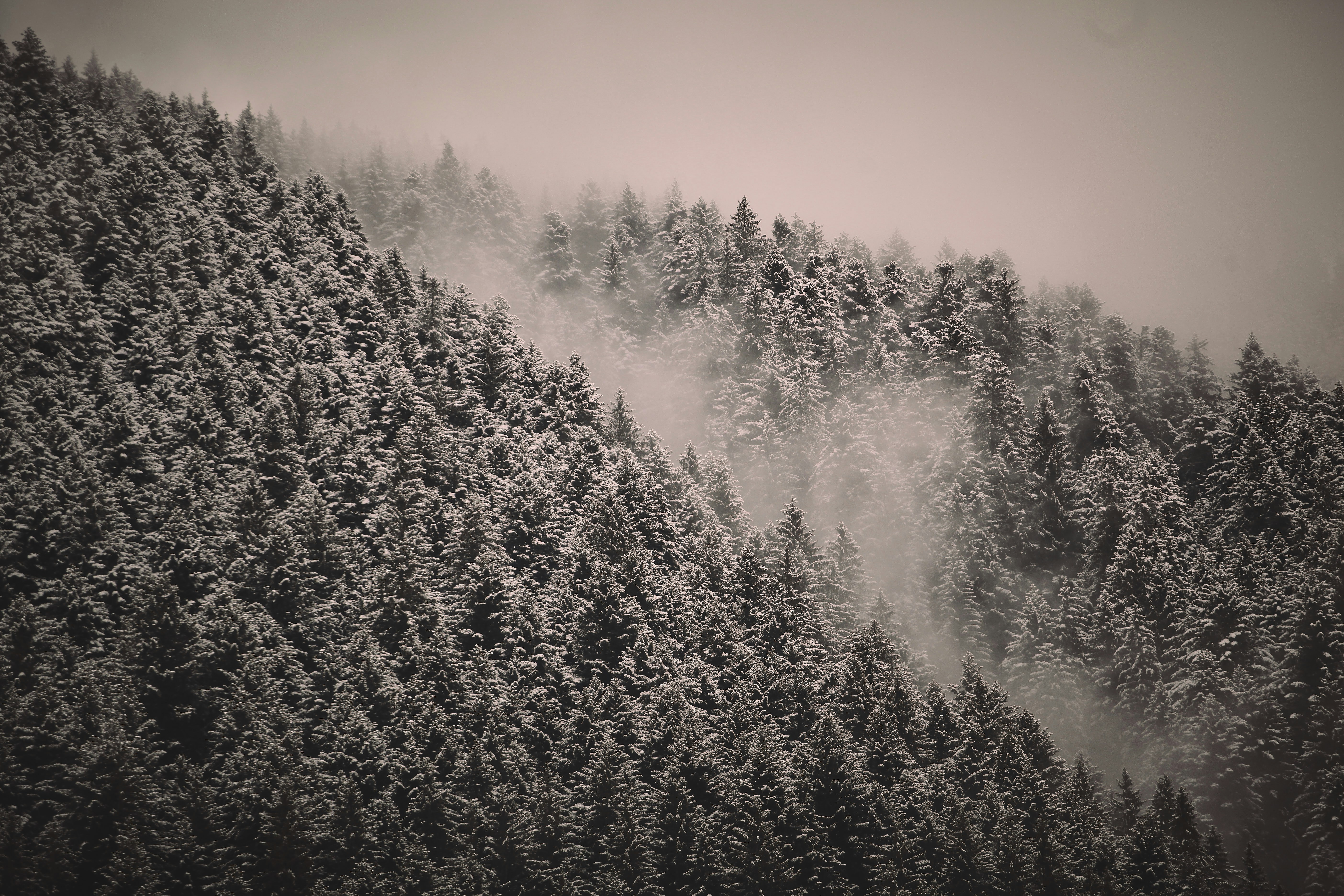 Photo by quadratmedia