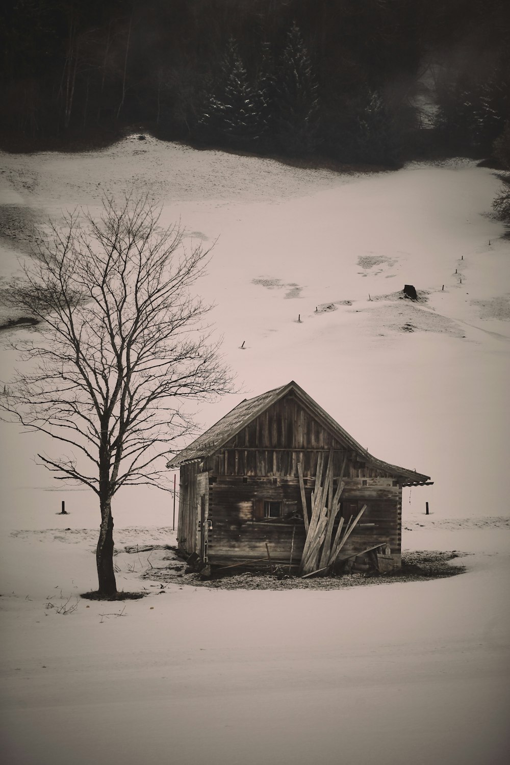 brown wooden house near bare trees on snow covered ground