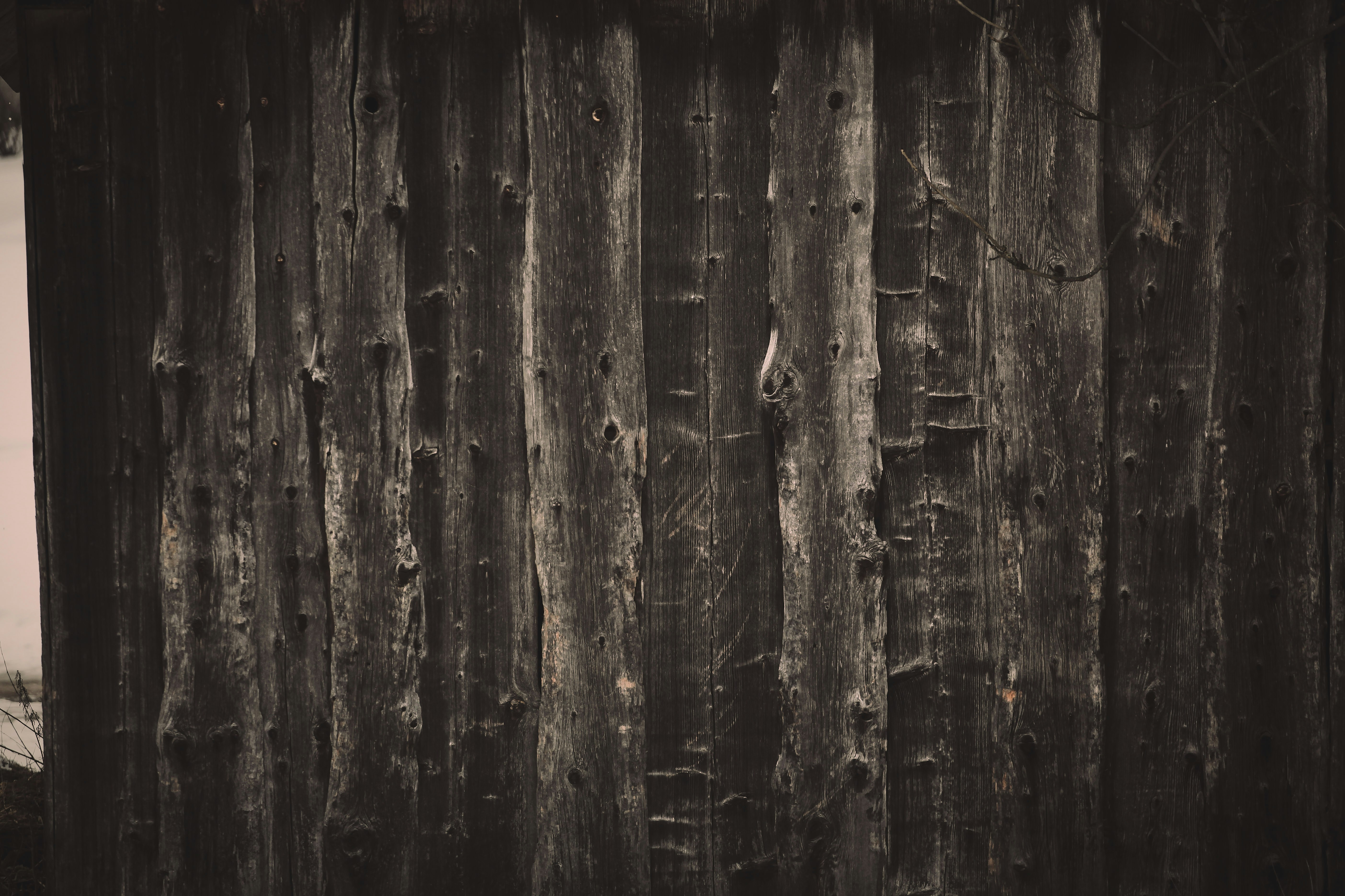 Photo by quadratmedia