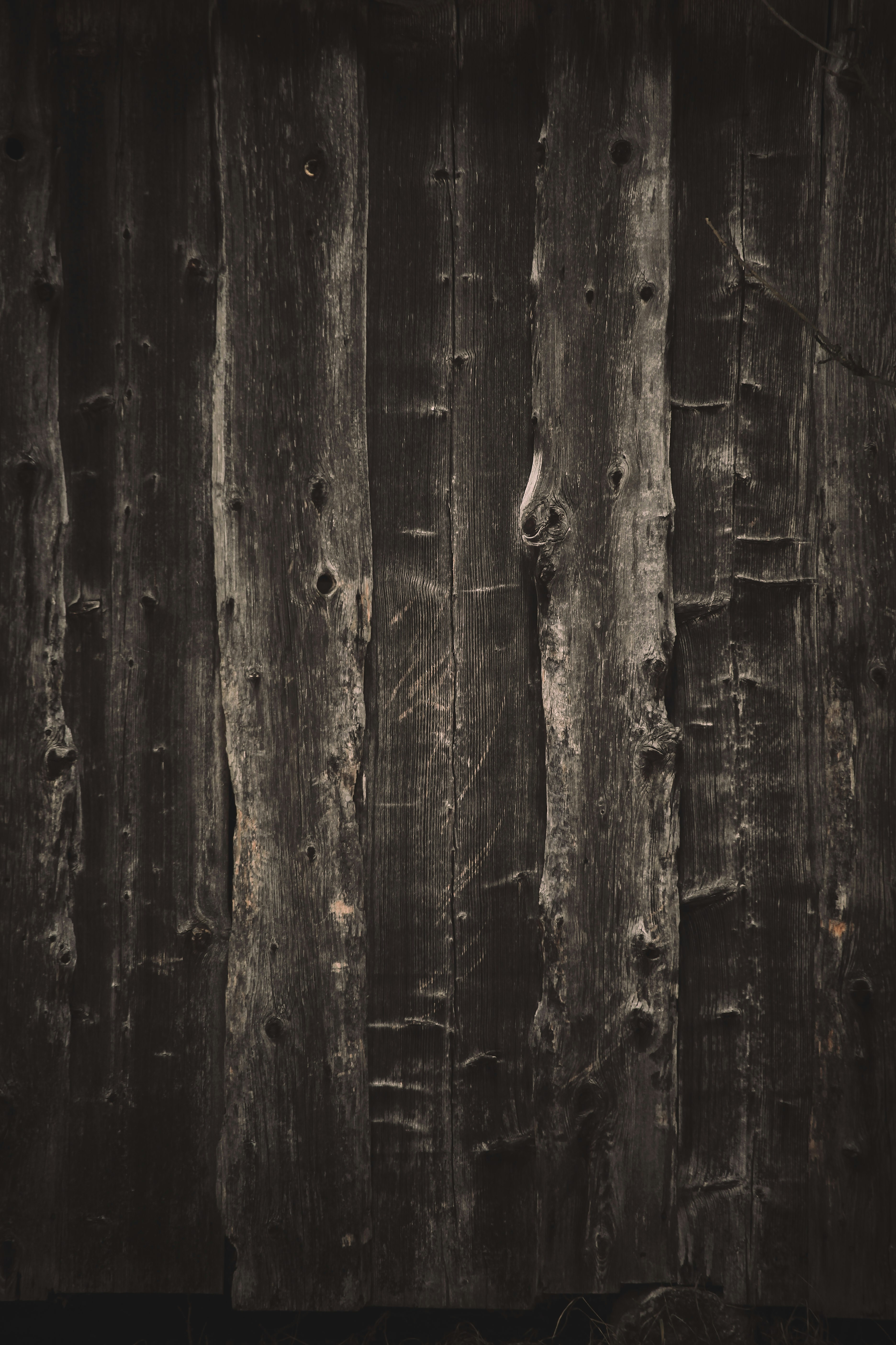 Photo by quadratmedia