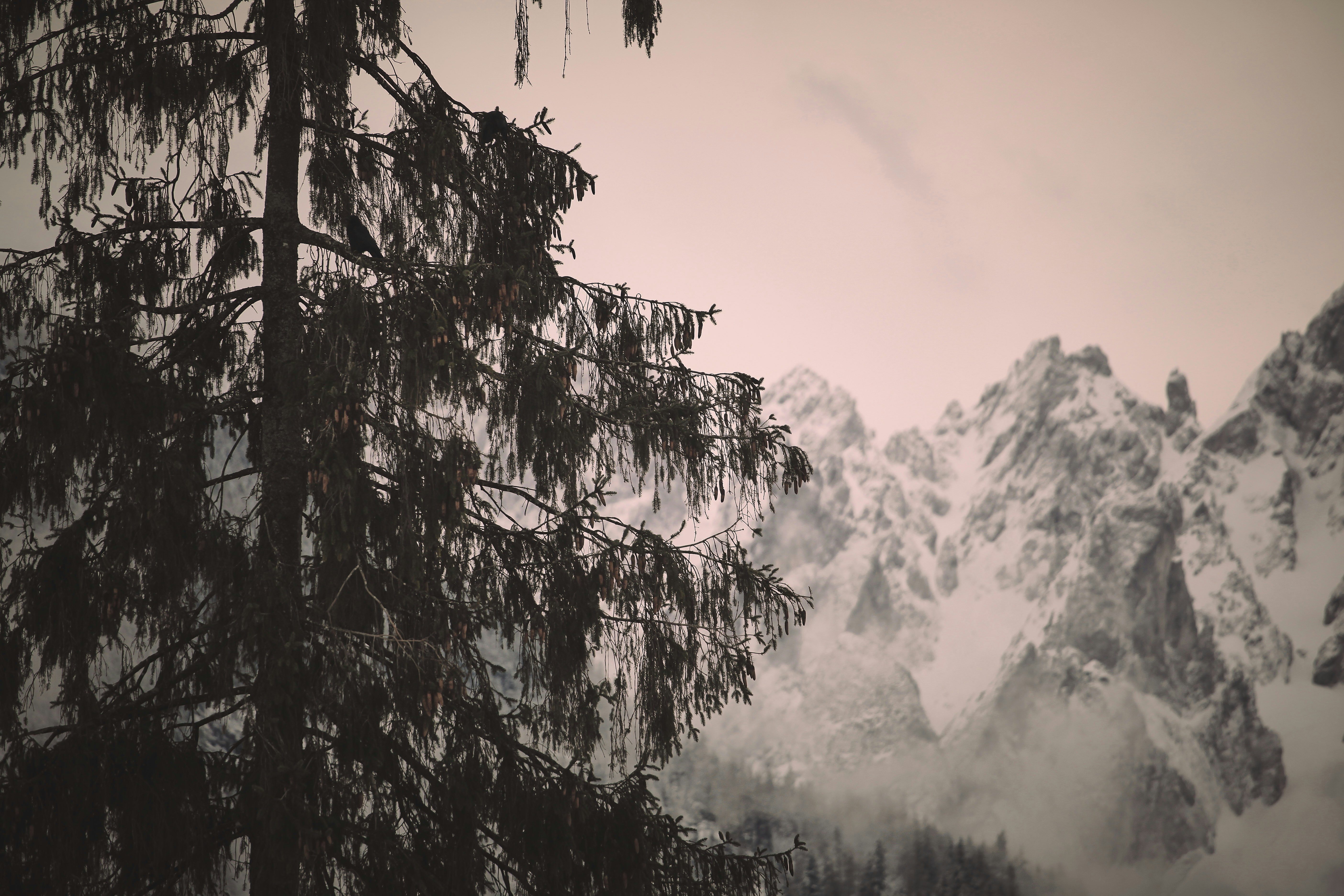 Photo by quadratmedia