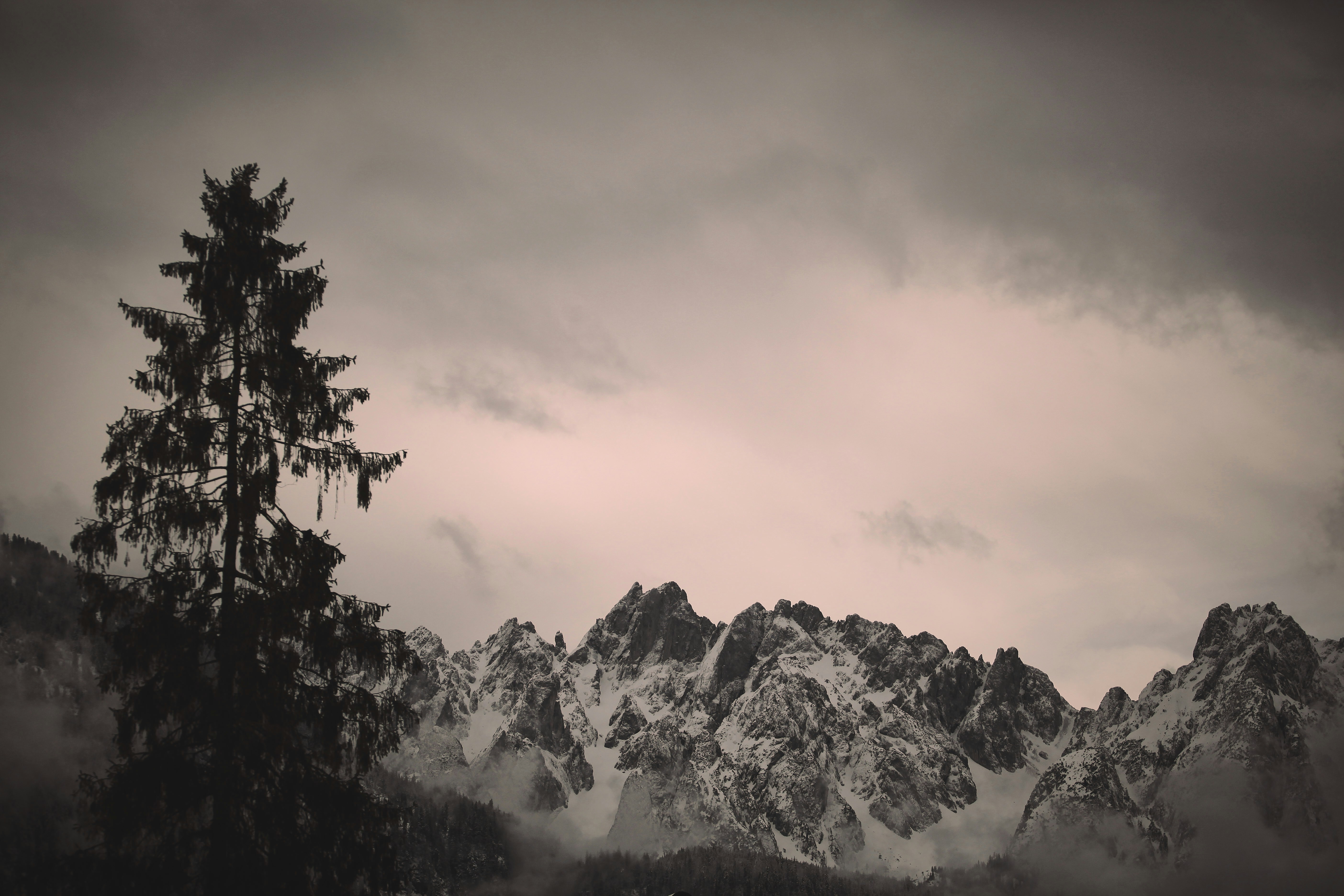 Photo by quadratmedia