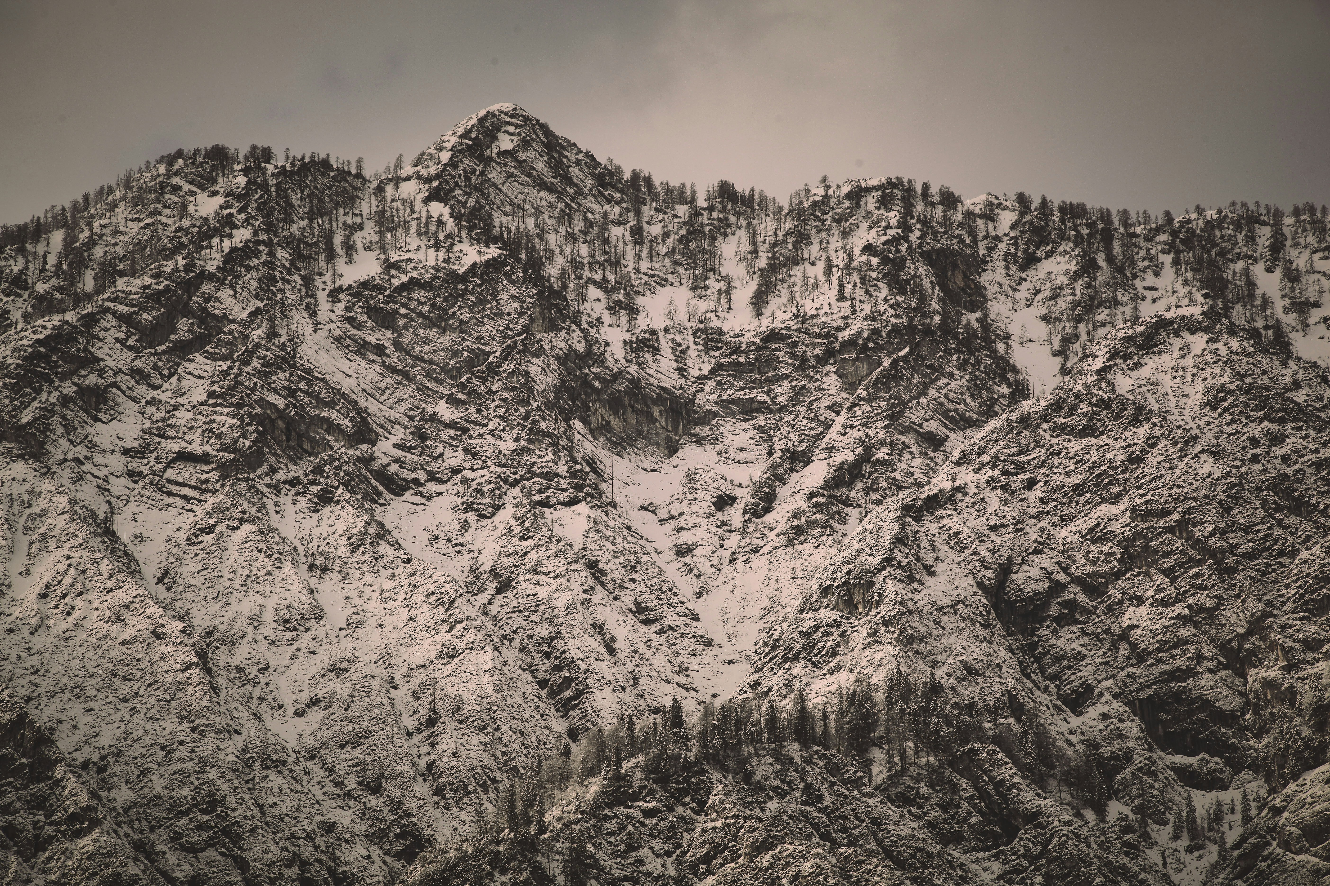 Photo by quadratmedia