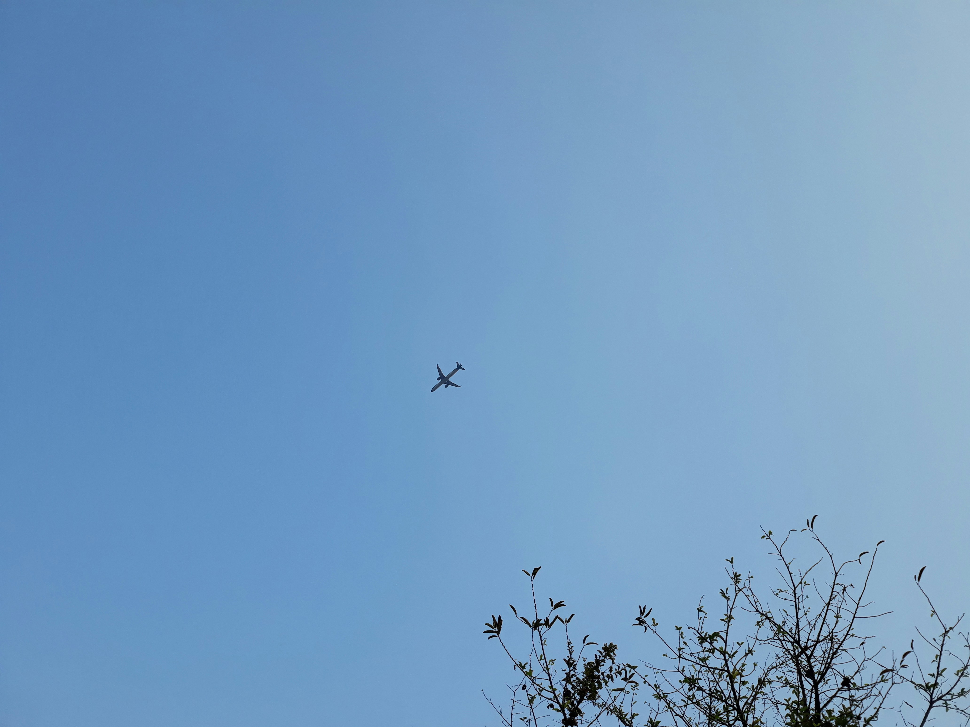 Photo by phonglanphuobg