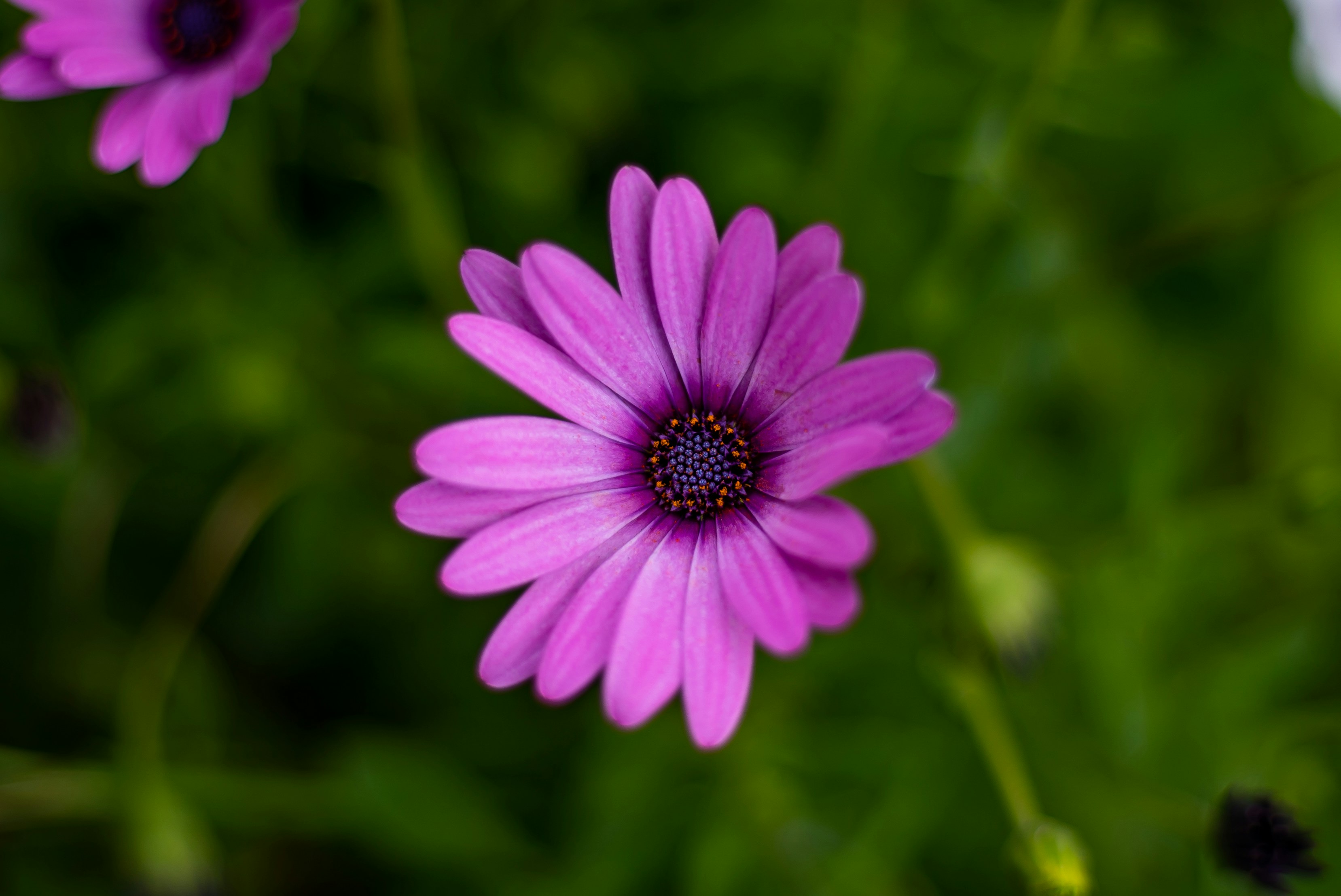Photo by orlandodominguezfotografia