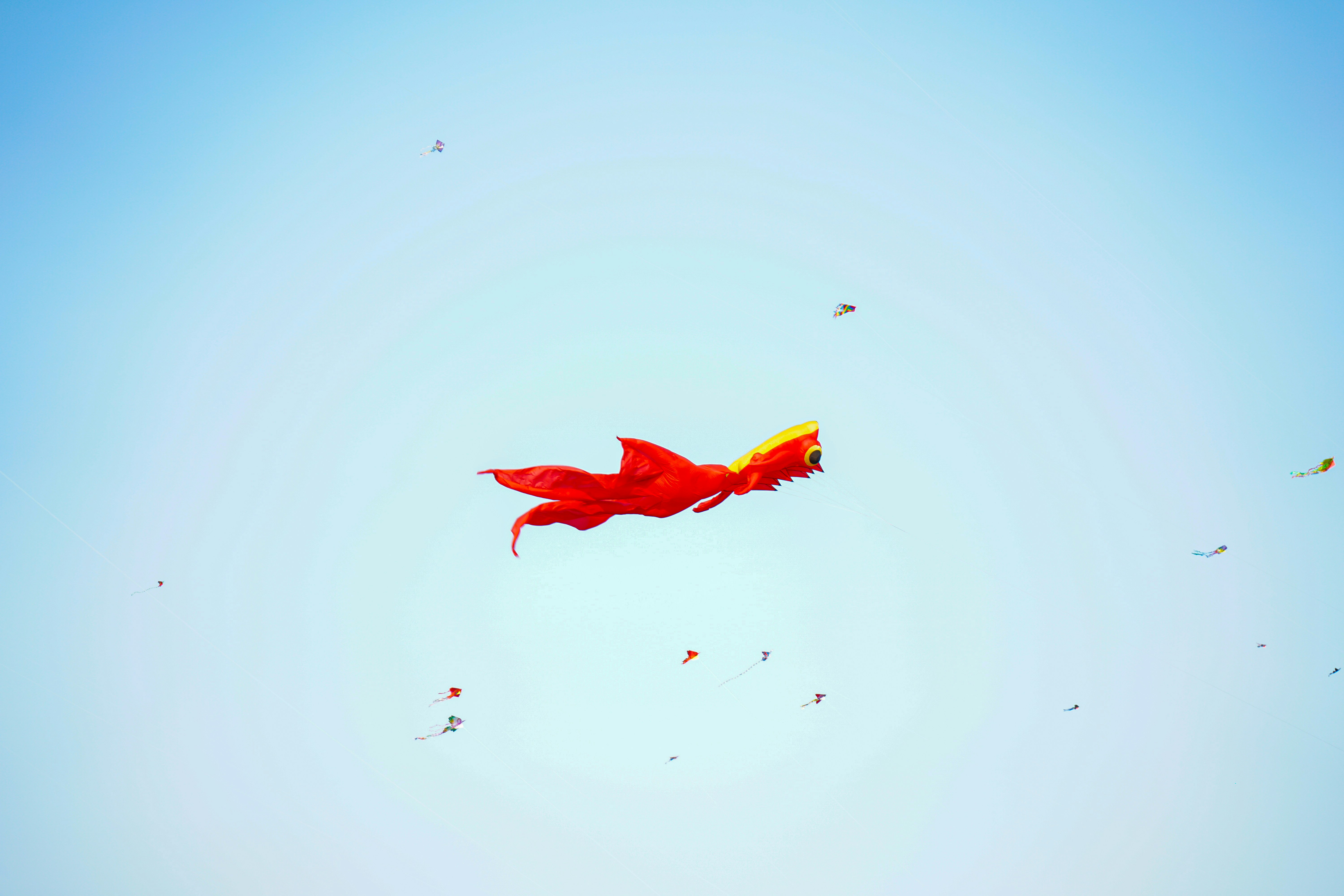 Red and yellow dragon flying