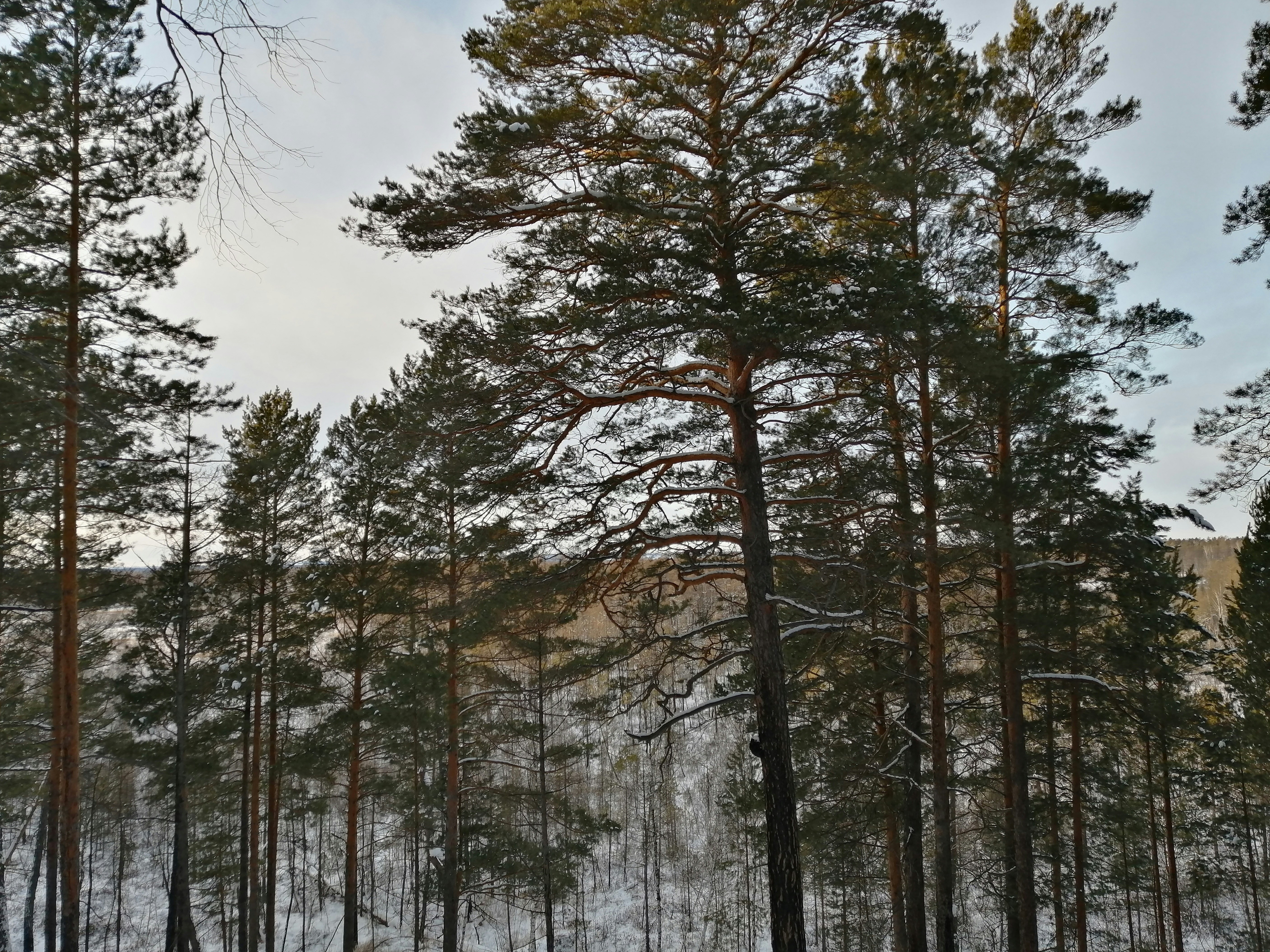 Photo by savvastasian