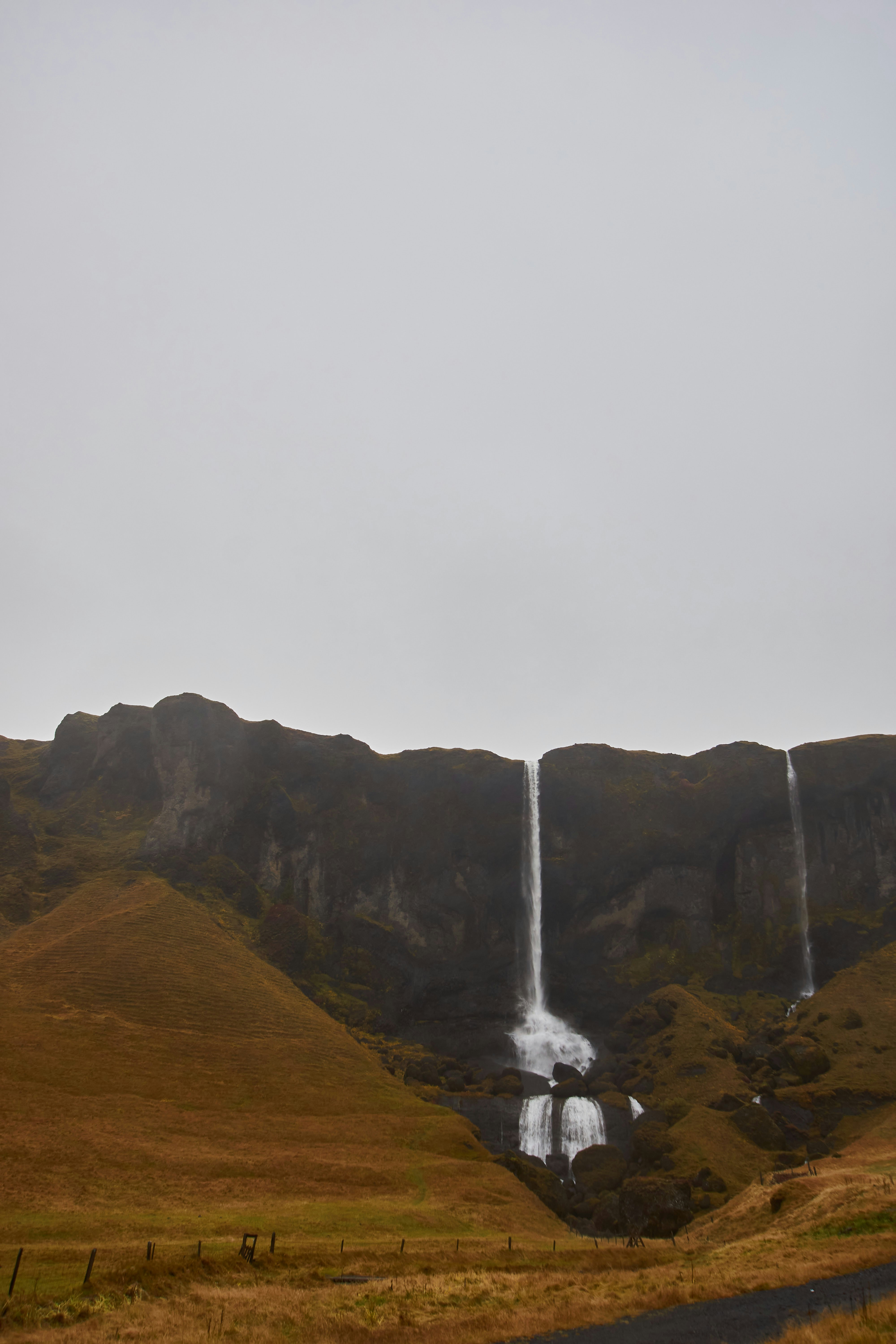 Photo by wolfgang_hasselmann