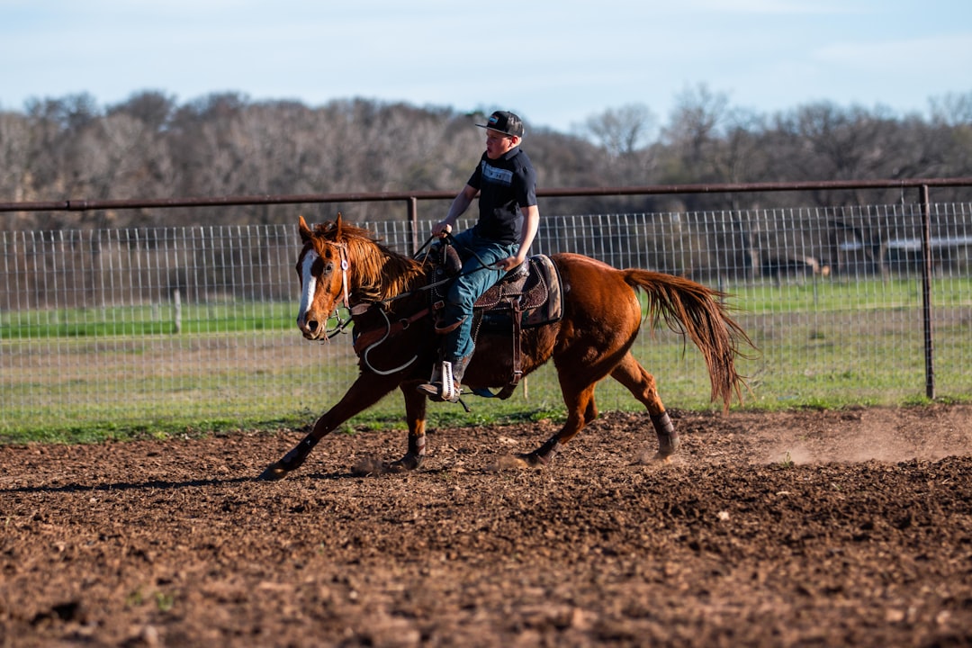 man in black jacket riding brown horse during daytime