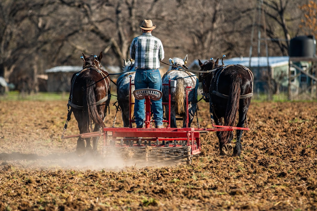 man in blue jacket riding on brown horse