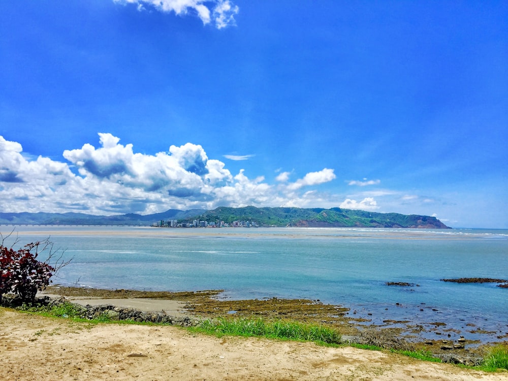 blue sky and white clouds over the sea