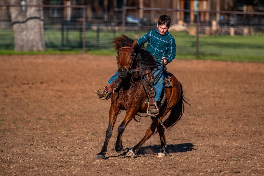 woman in blue long sleeve shirt riding brown horse during daytime