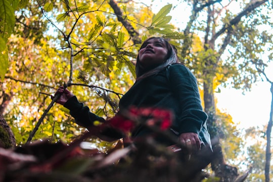 woman in green jacket standing under yellow leaf tree during daytime in Mirik India