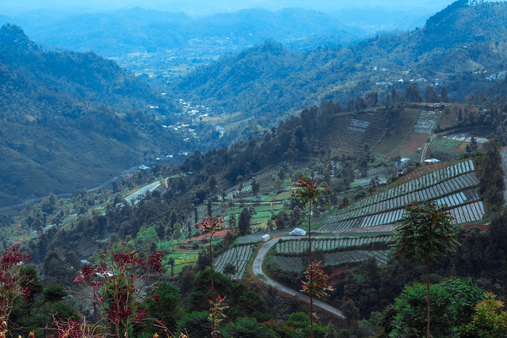 aerial view of city during daytime