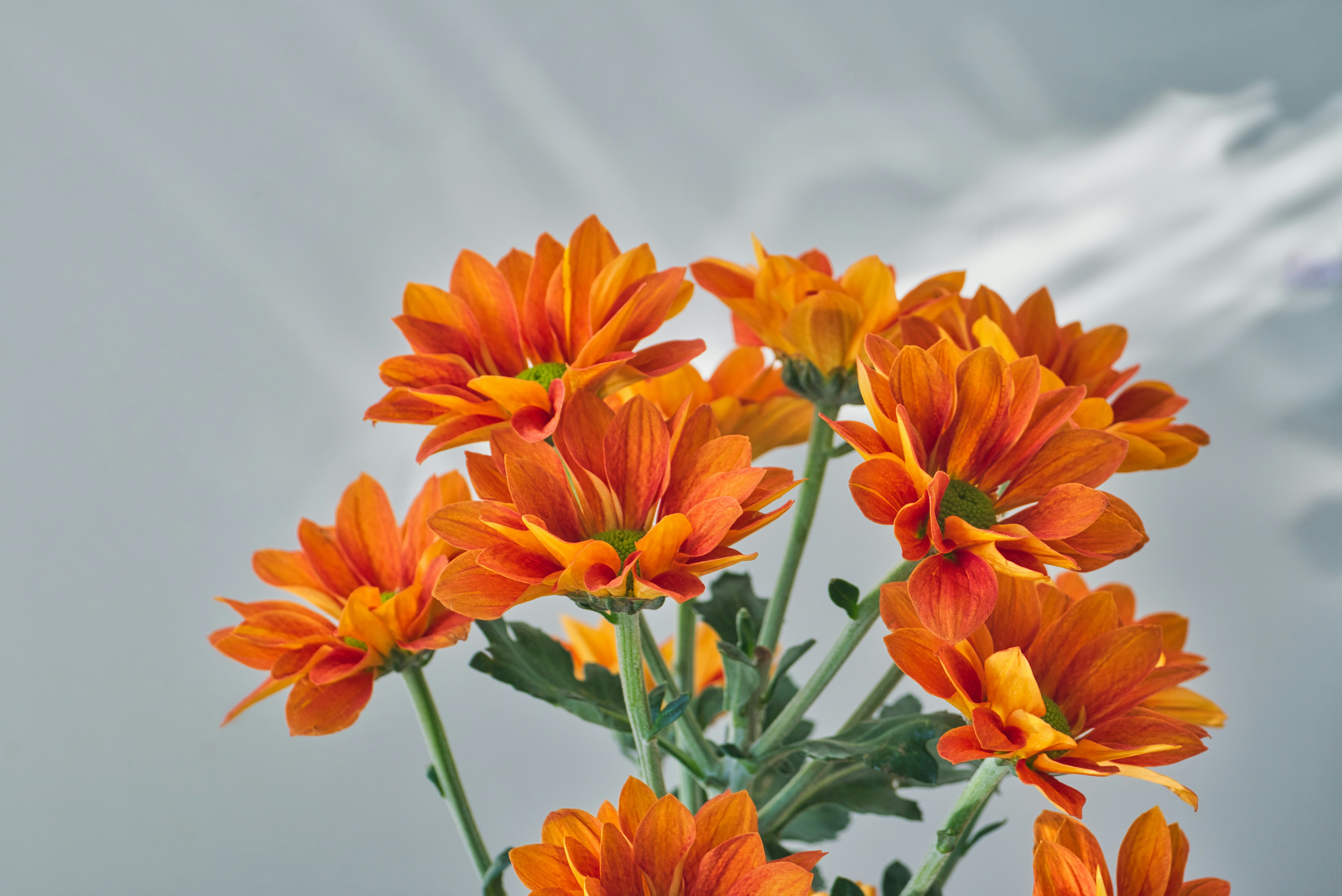 Photo by thomaskinto