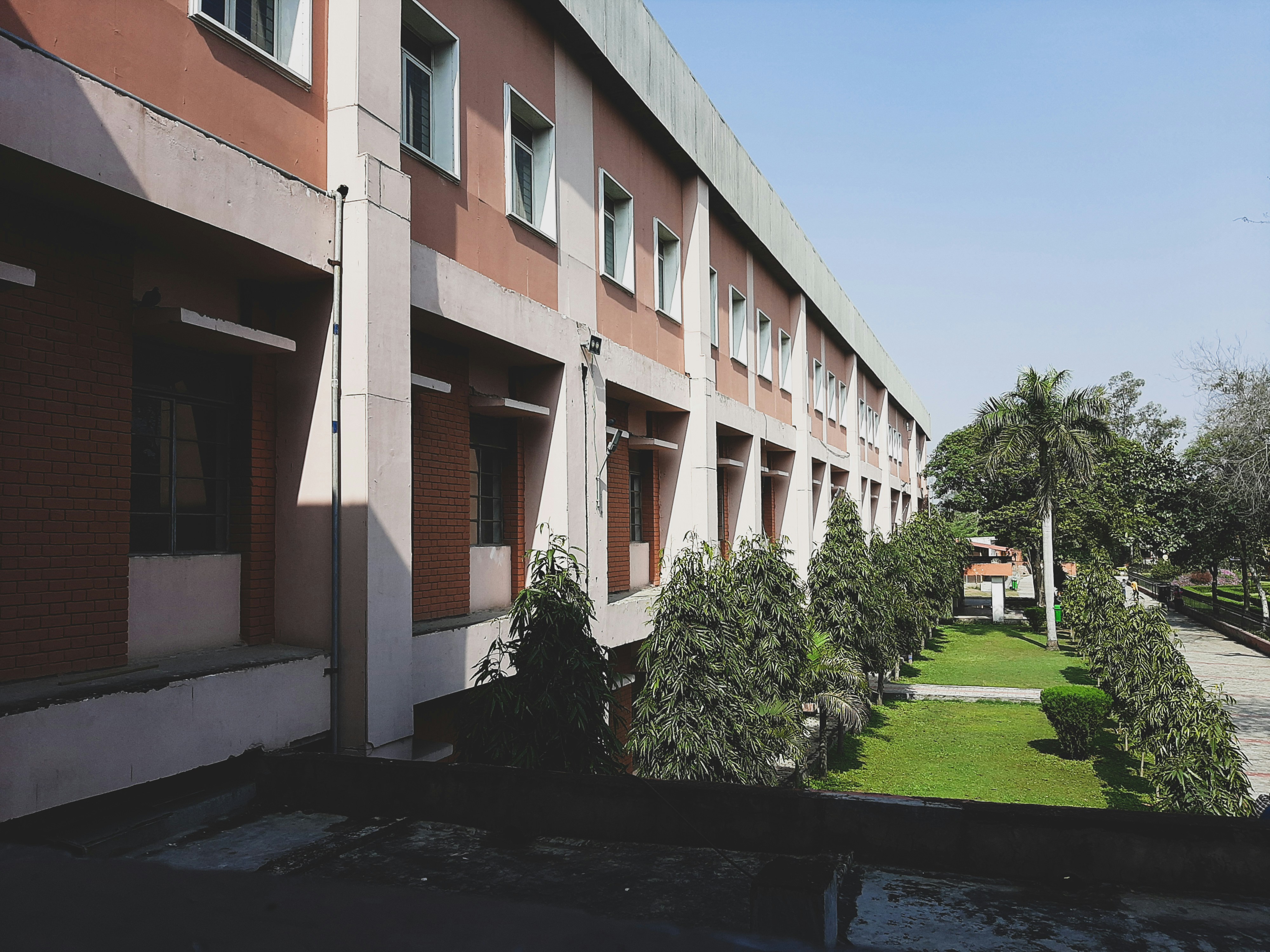 College photography