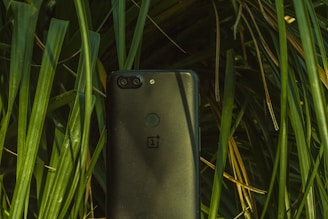 A smartphone with a dual camera setup and a fingerprint sensor on the back is partially hidden among long, vibrant green leaves.