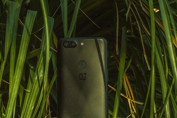 A smartphone with a dual camera setup and a fingerprint sensor on the back is partially hidden among long, vibrant green leaves.