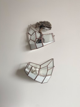 Two geometric glass terrariums are mounted on a light-colored wall. The upper terrarium contains a small bonsai tree planted in white sand. The lower terrarium has white stones or coral arranged in sand.