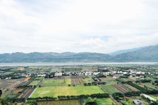 aerial view of green grass field and green mountains during daytime in Taitung County Taiwan